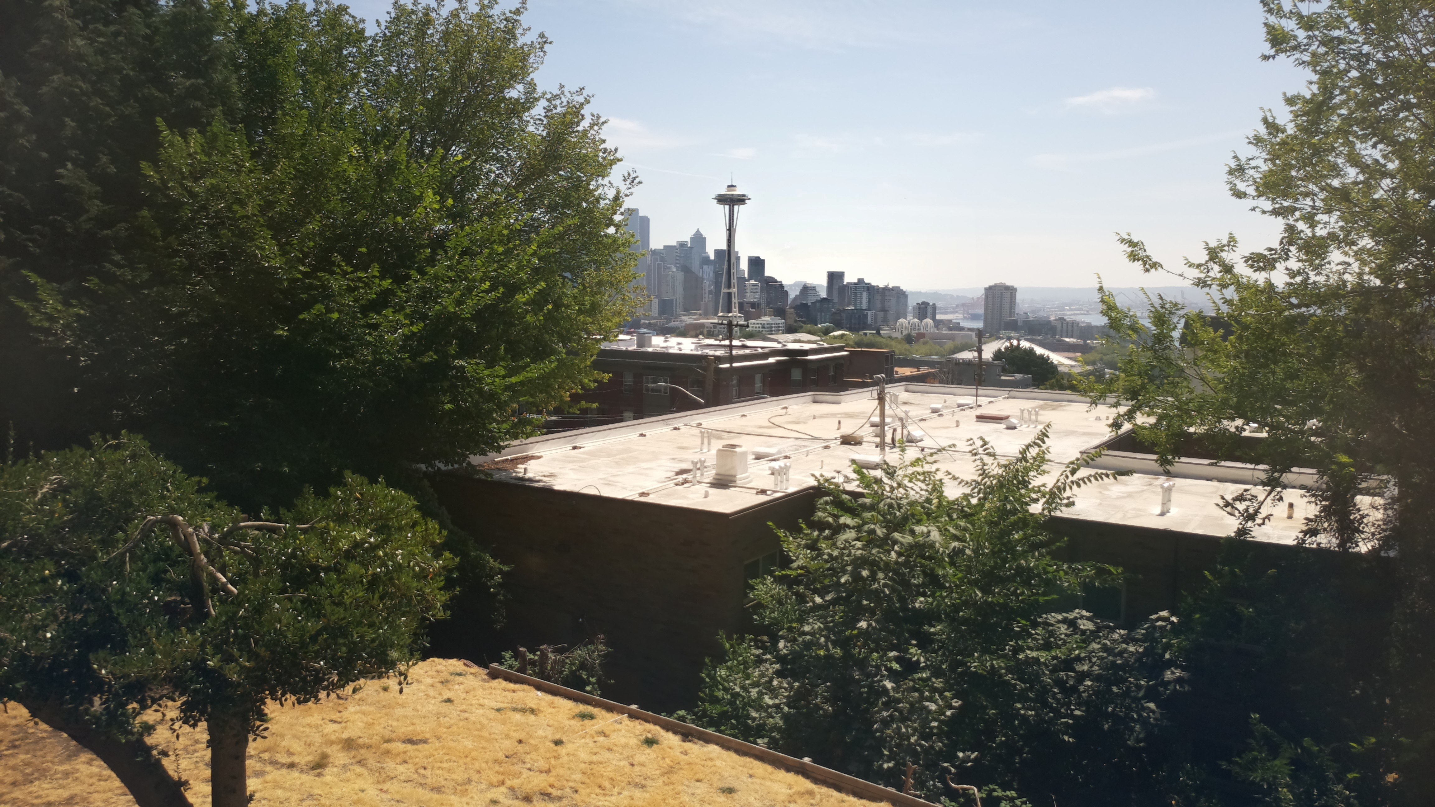 Mt. Rainier from Seattle — Saturday, August 8