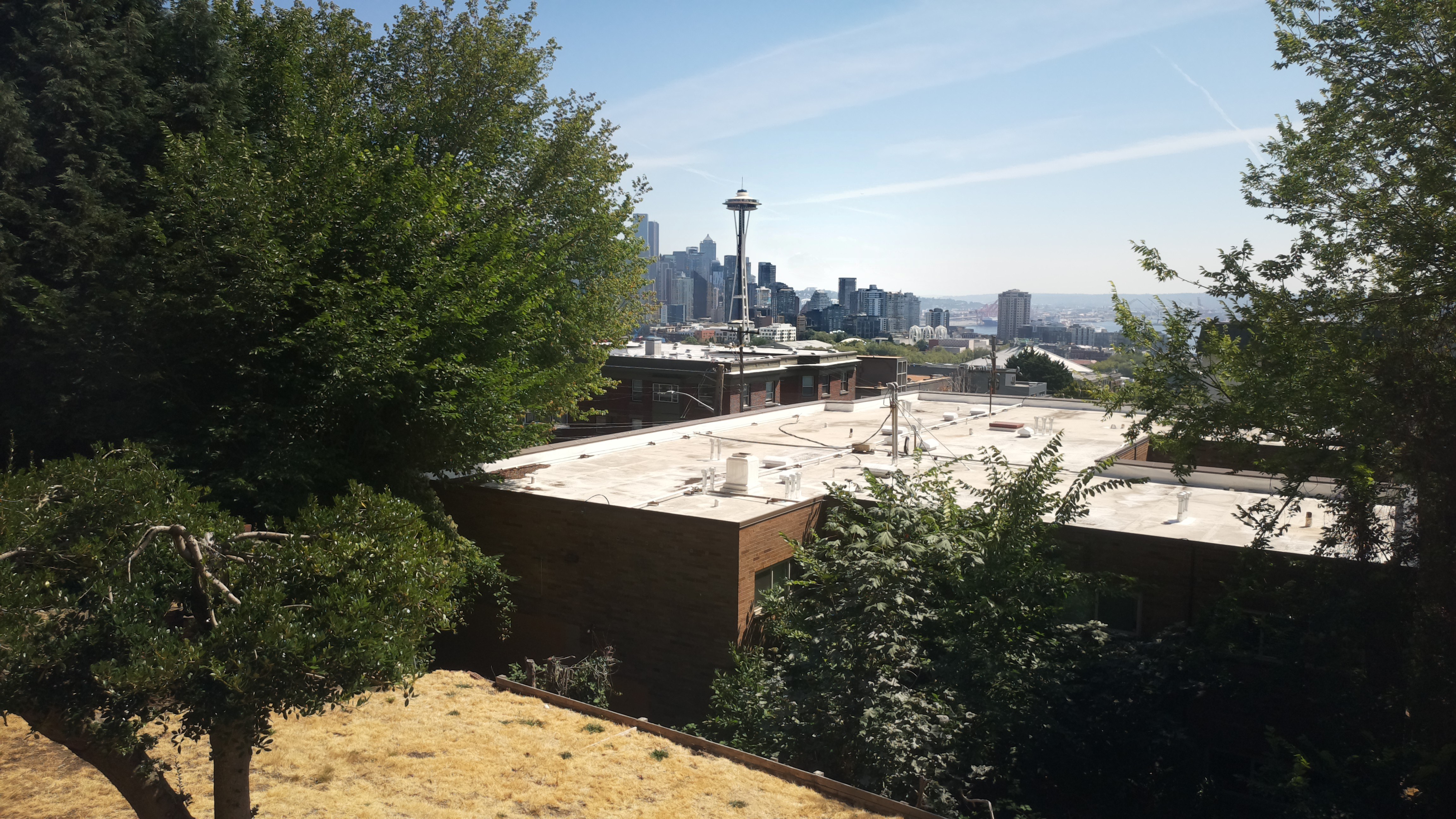 Mt. Rainier from Seattle — Saturday, August 8