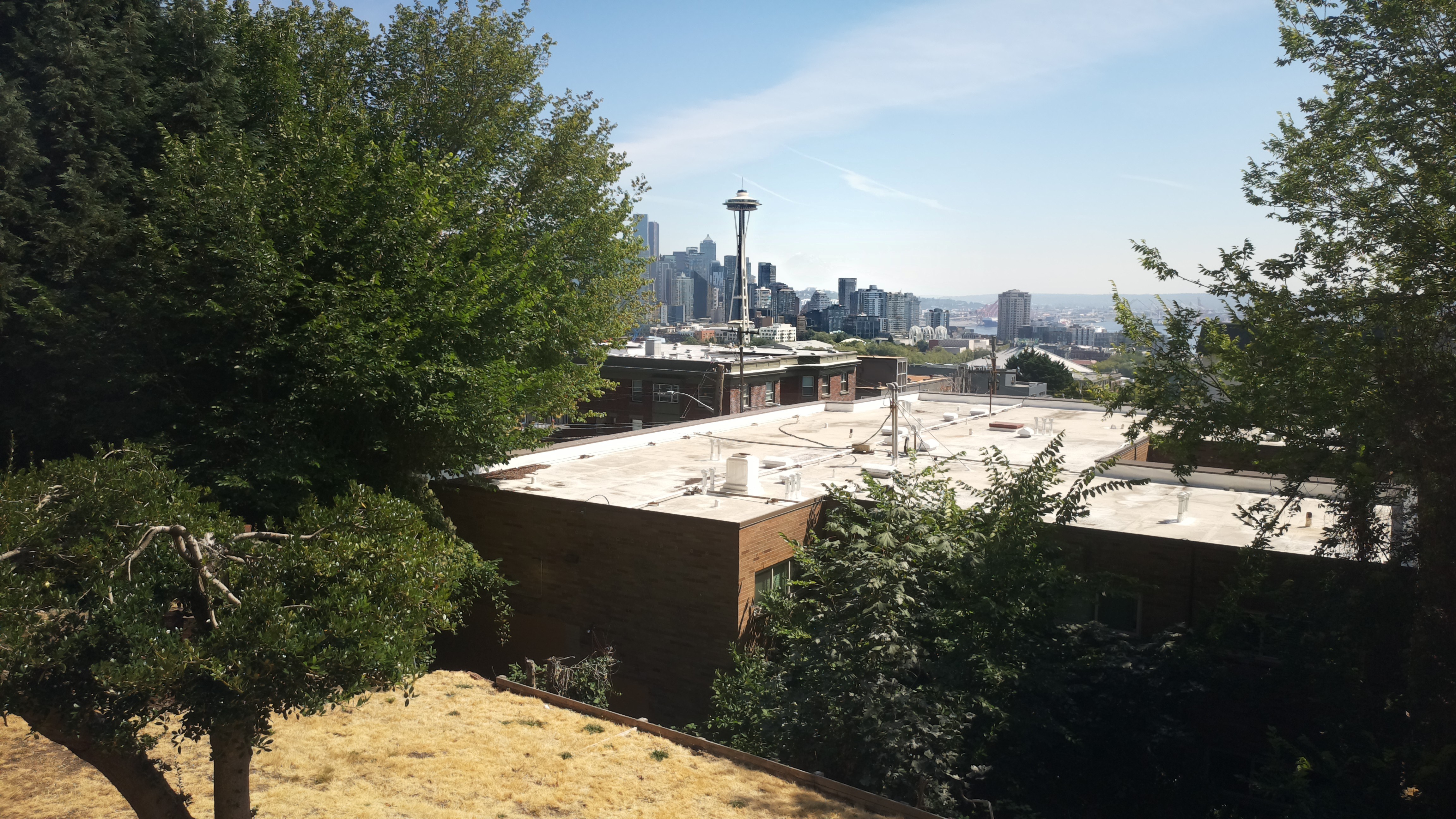 Mt. Rainier from Seattle — Saturday, August 8