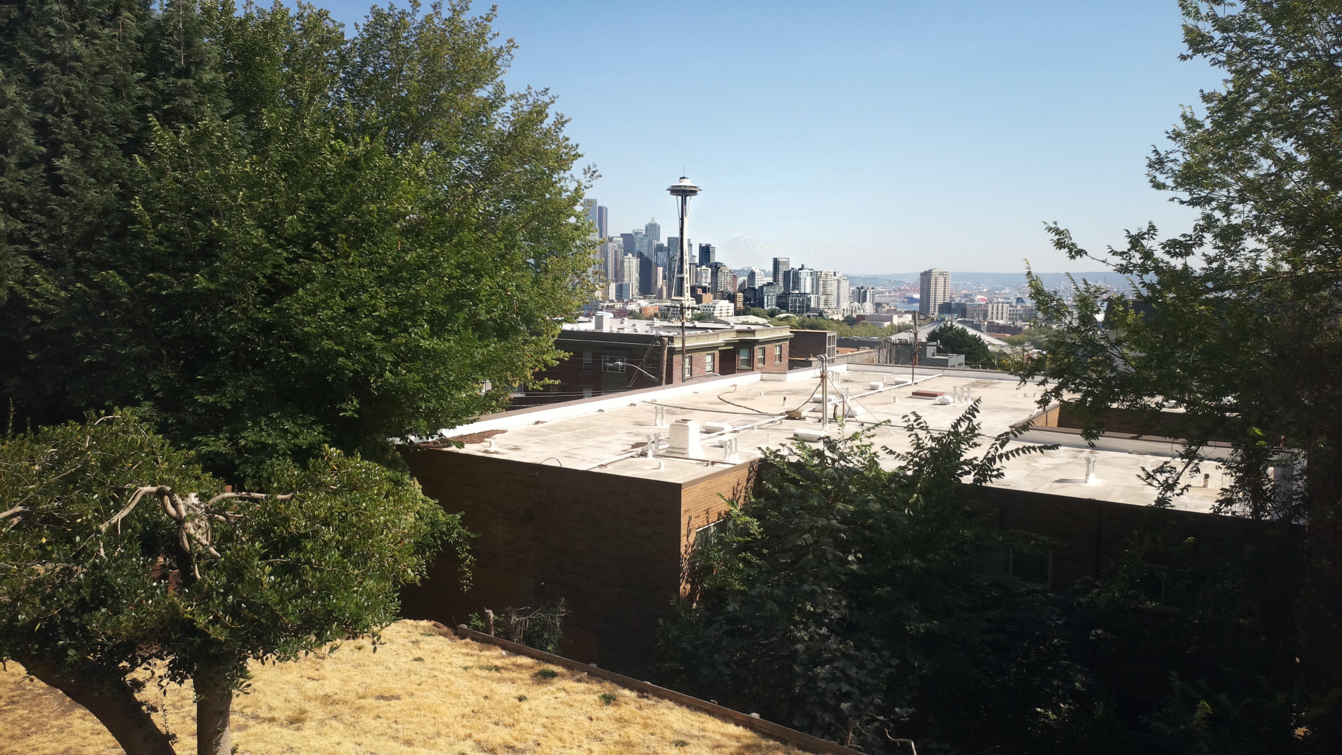Mt. Rainier from Seattle — Saturday, August 8