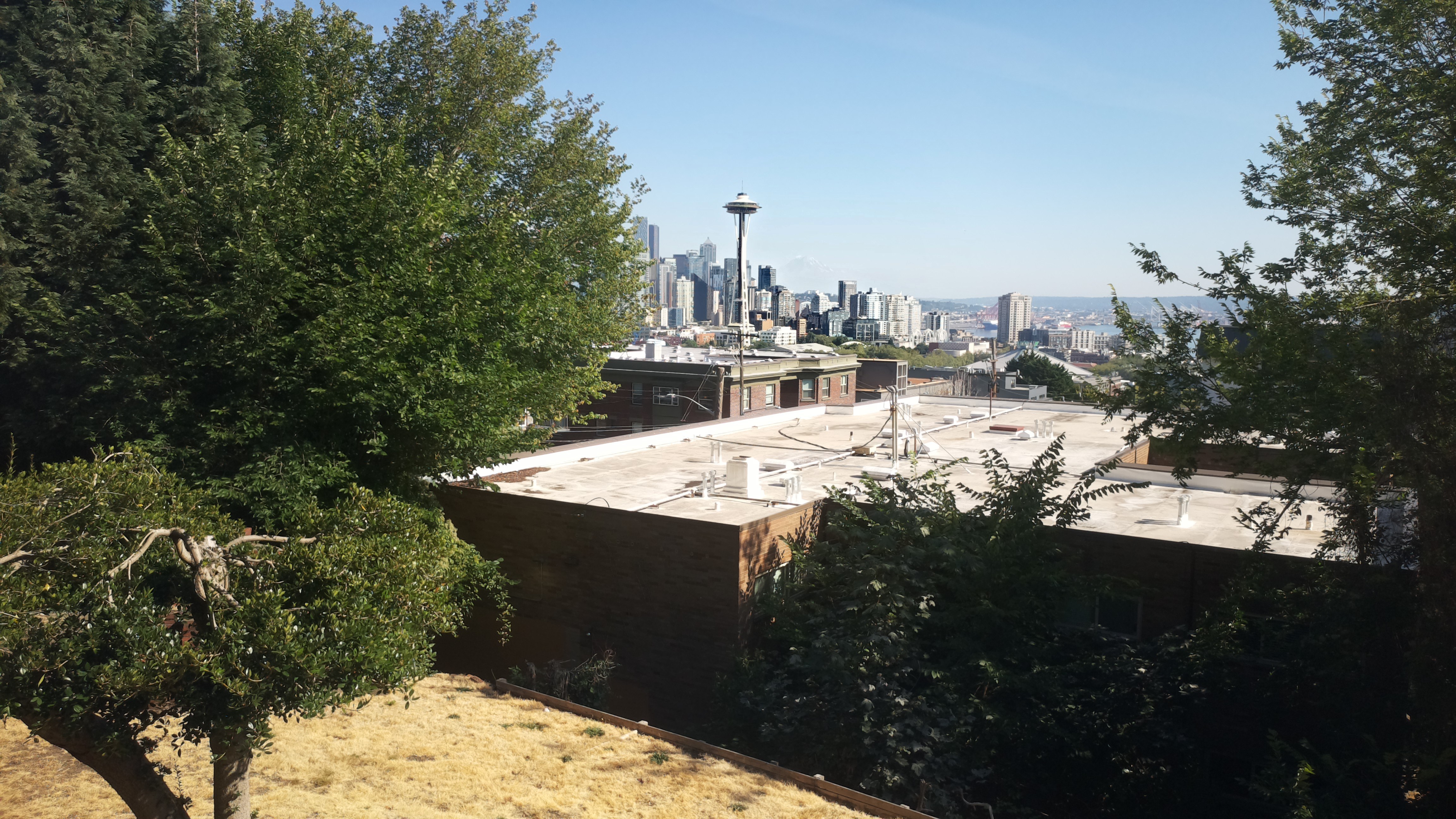 Mt. Rainier from Seattle — Saturday, August 8