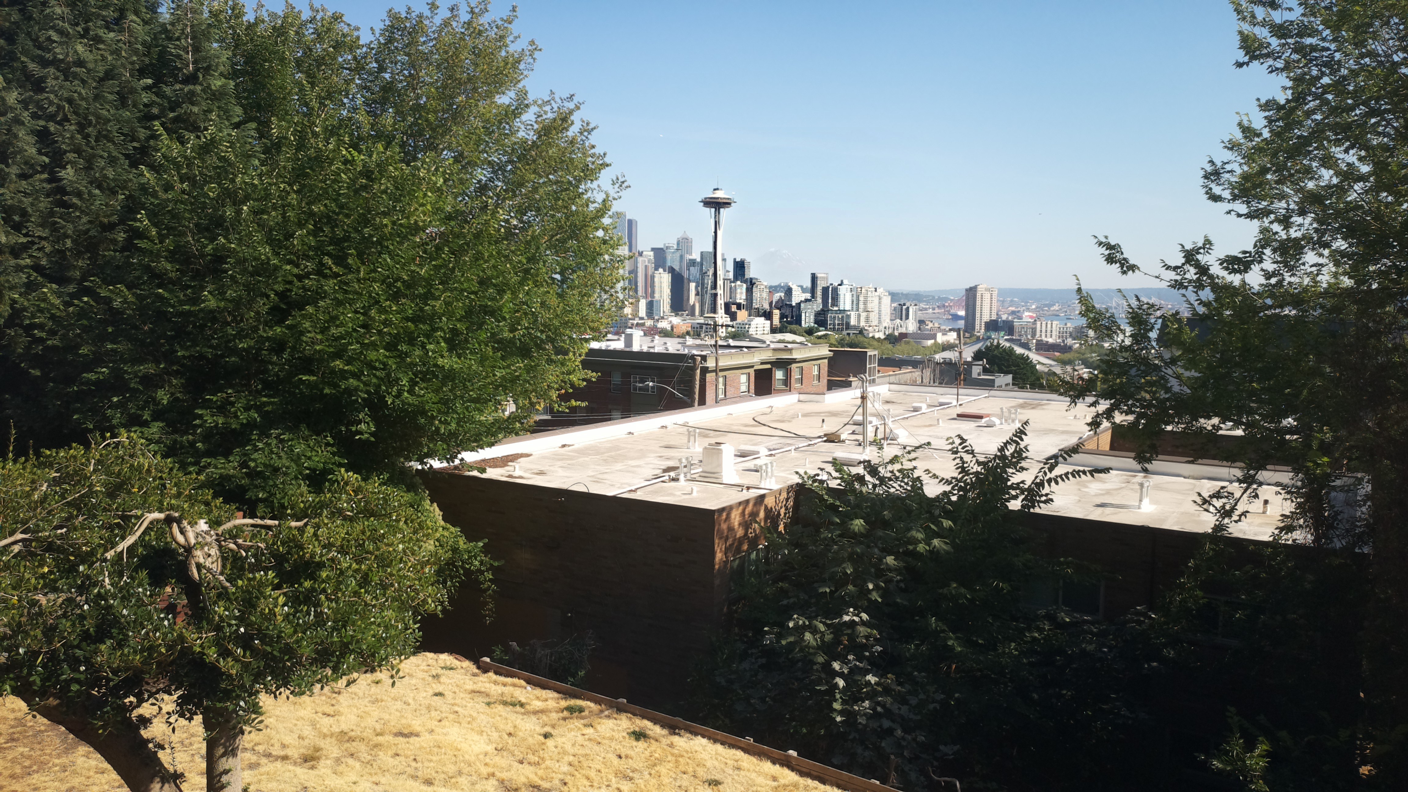 Mt. Rainier from Seattle — Saturday, August 8