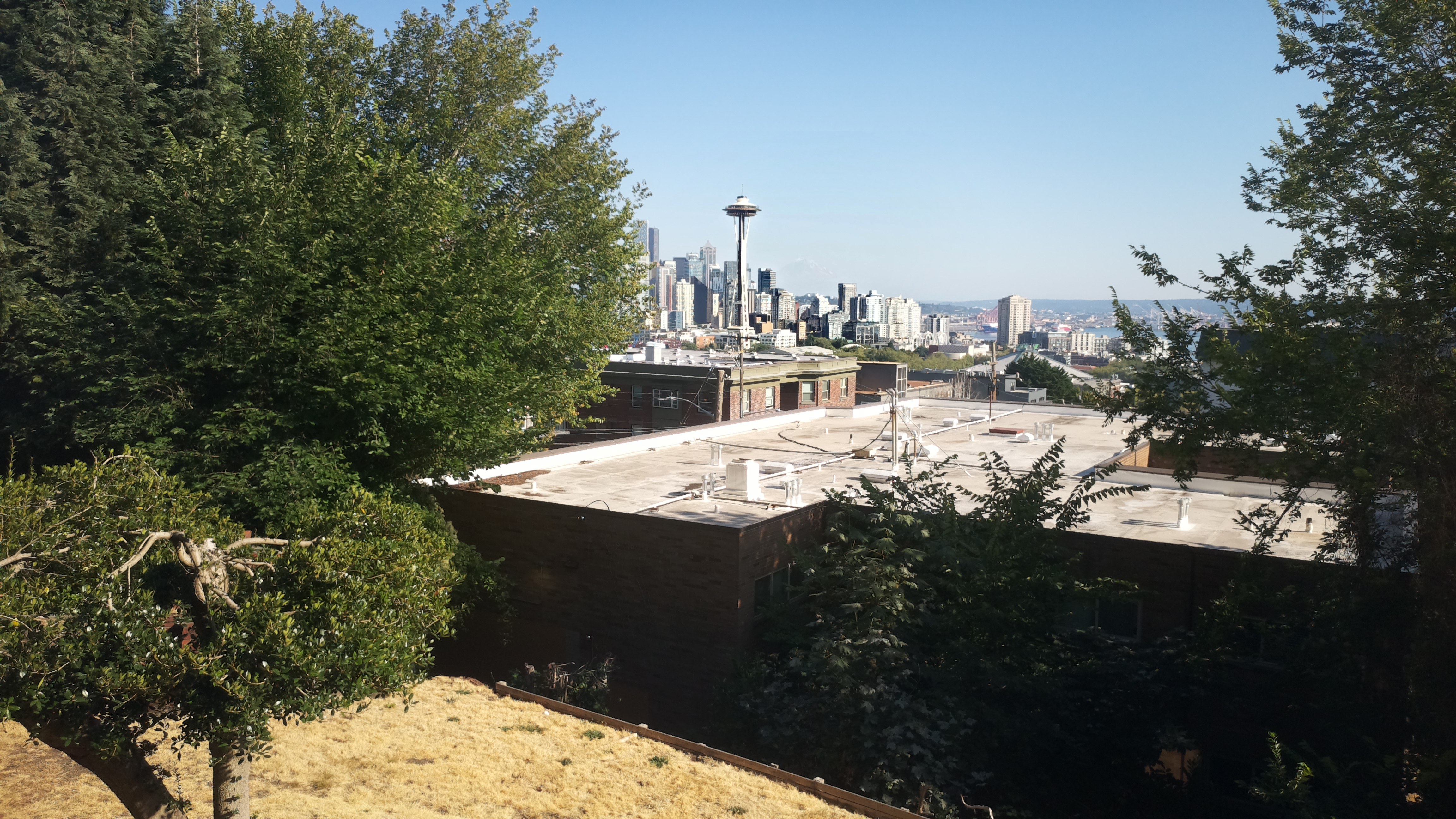 Mt. Rainier from Seattle — Saturday, August 8