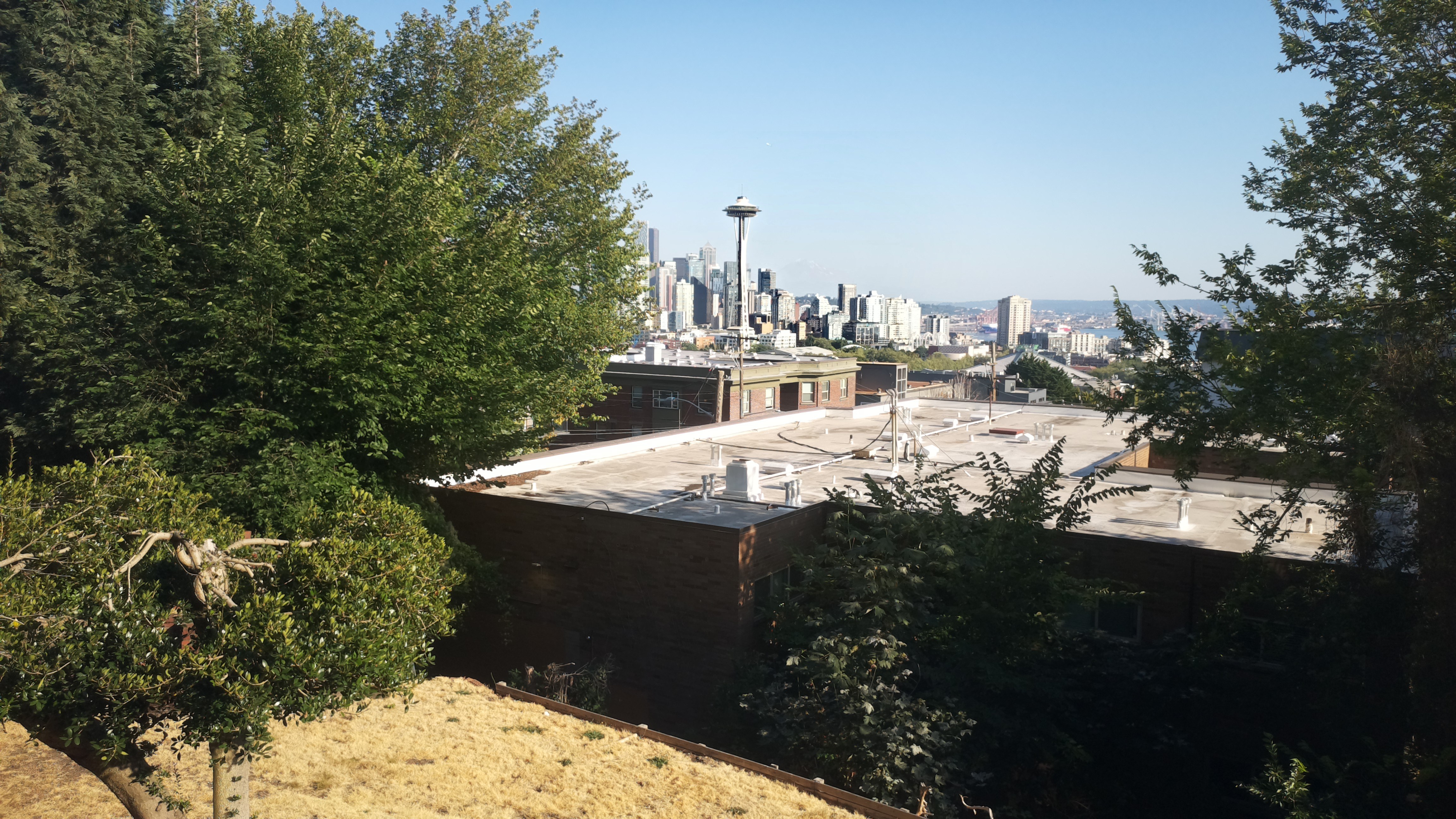 Mt. Rainier from Seattle — Saturday, August 8