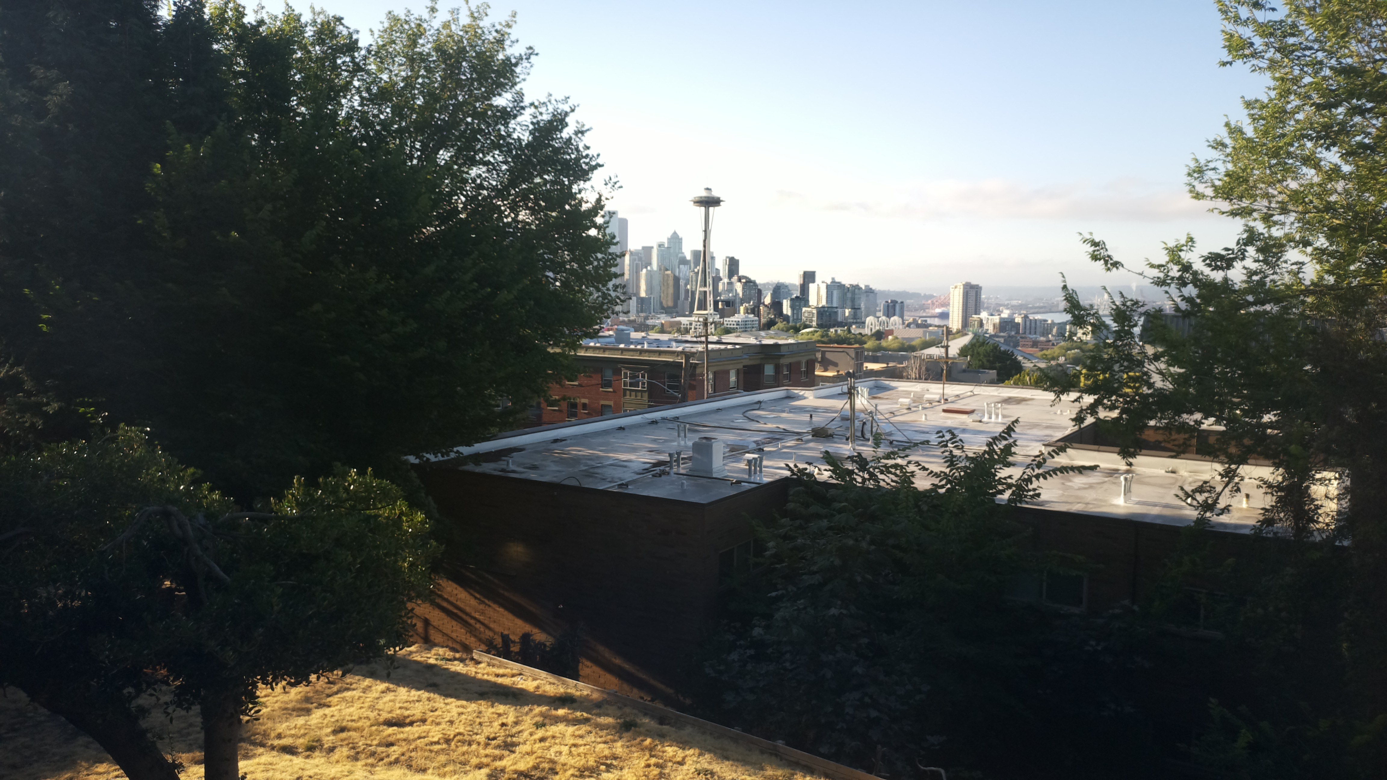 Mt. Rainier from Seattle — Sunday, August 9
