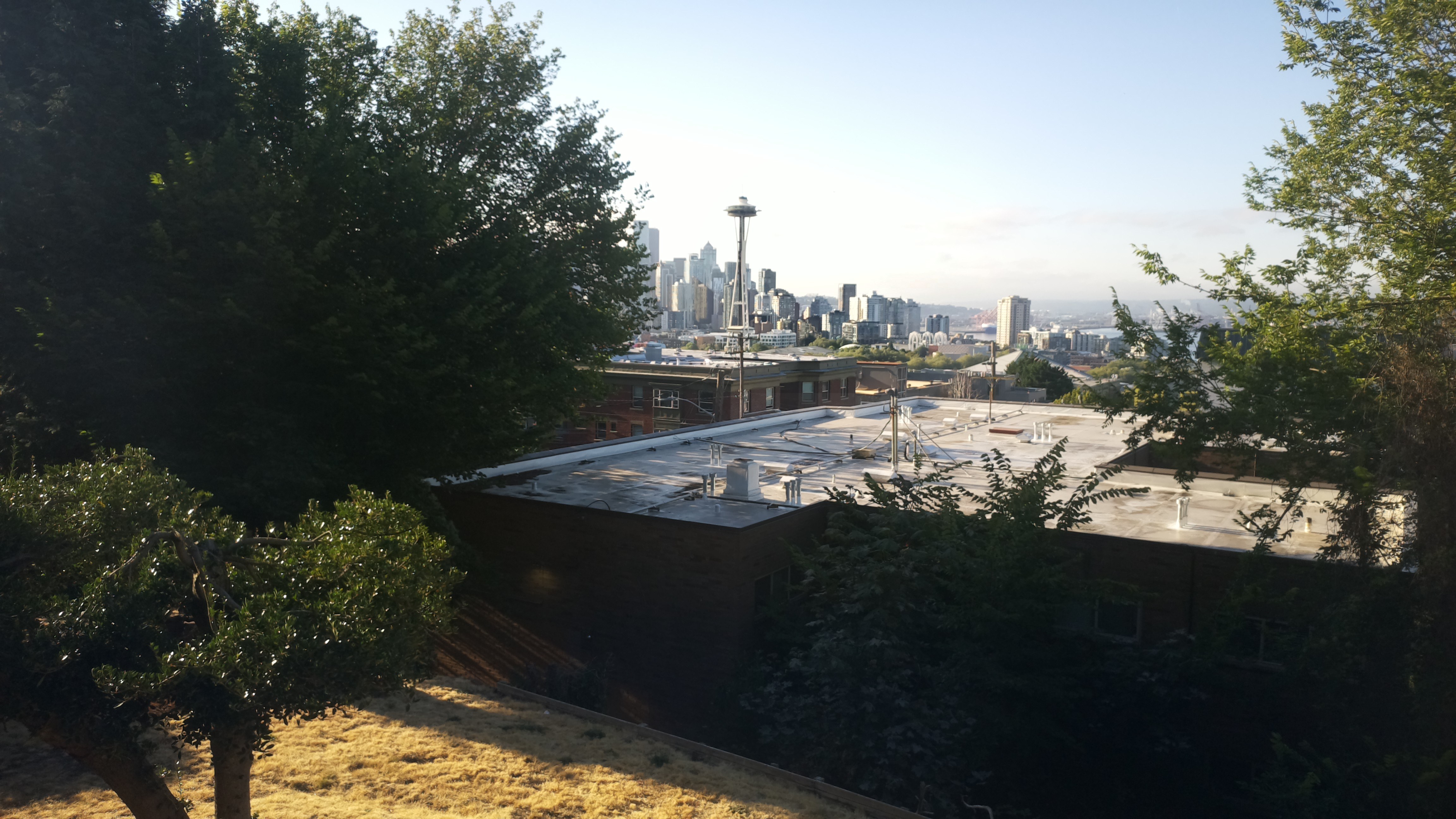 Mt. Rainier from Seattle — Sunday, August 9