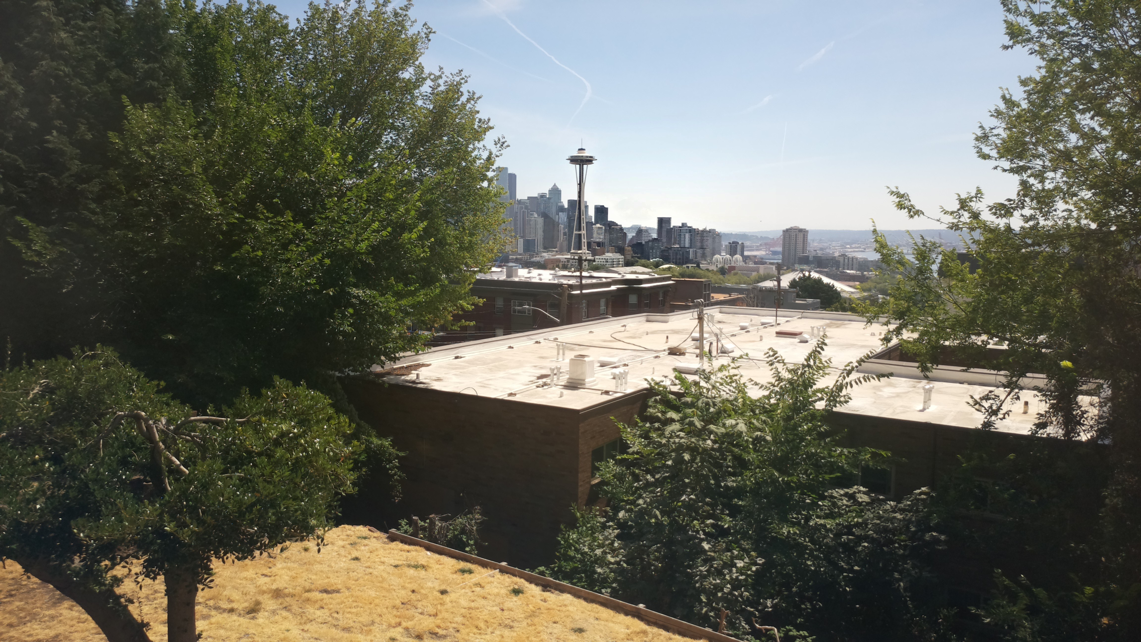 Mt. Rainier from Seattle — Sunday, August 9
