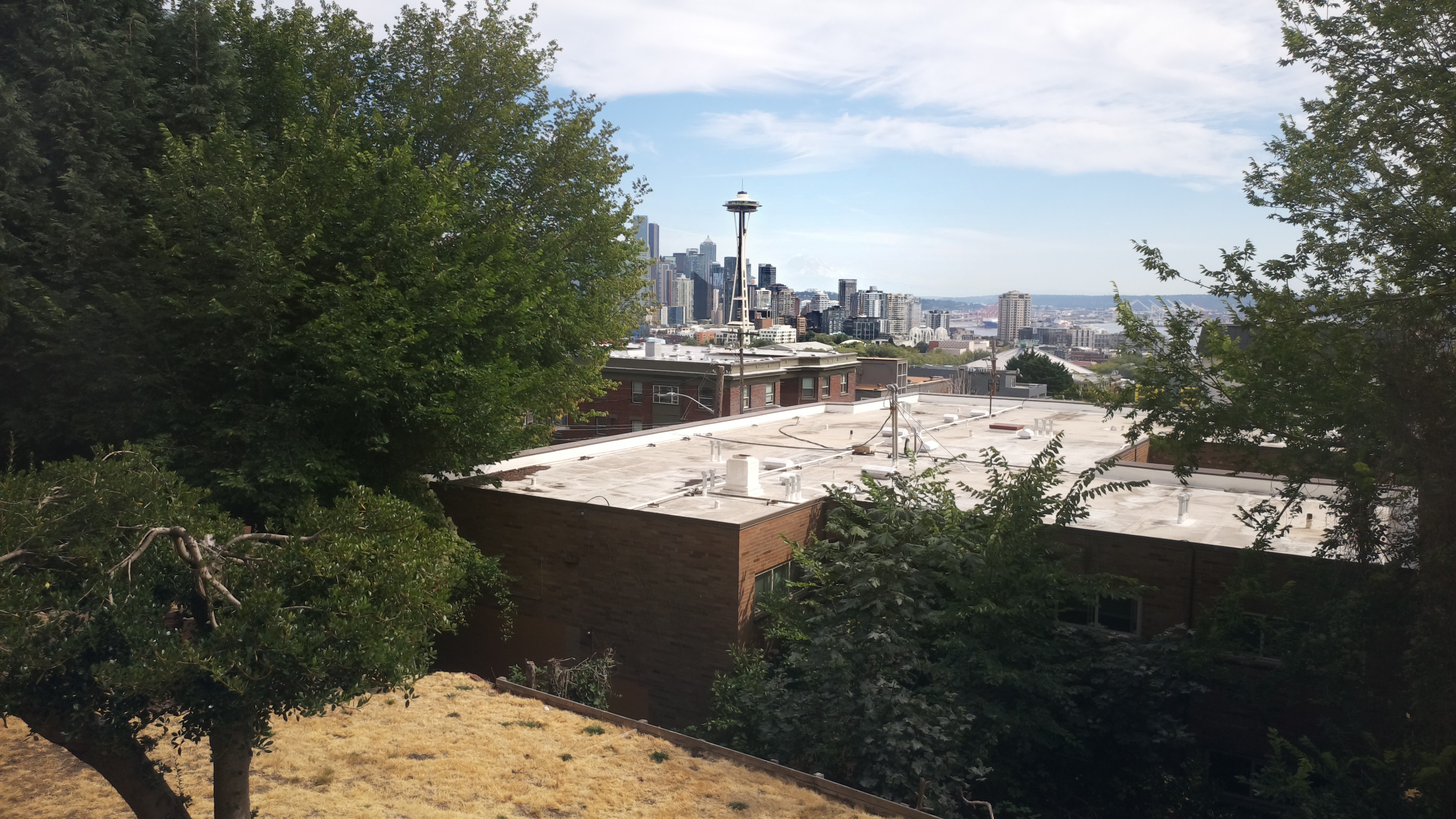 Mt. Rainier from Seattle — Sunday, August 9