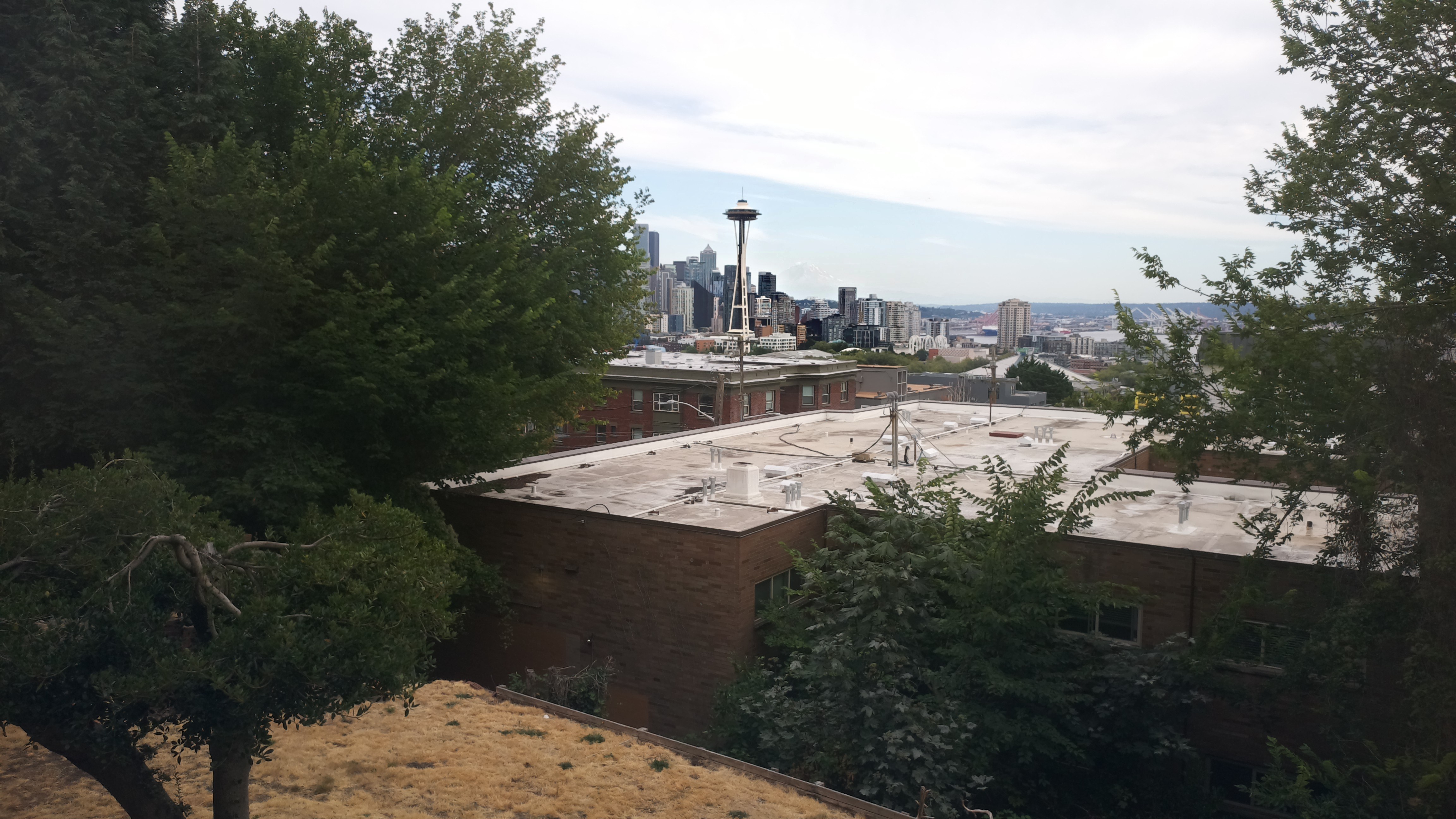 Mt. Rainier from Seattle — Sunday, August 9