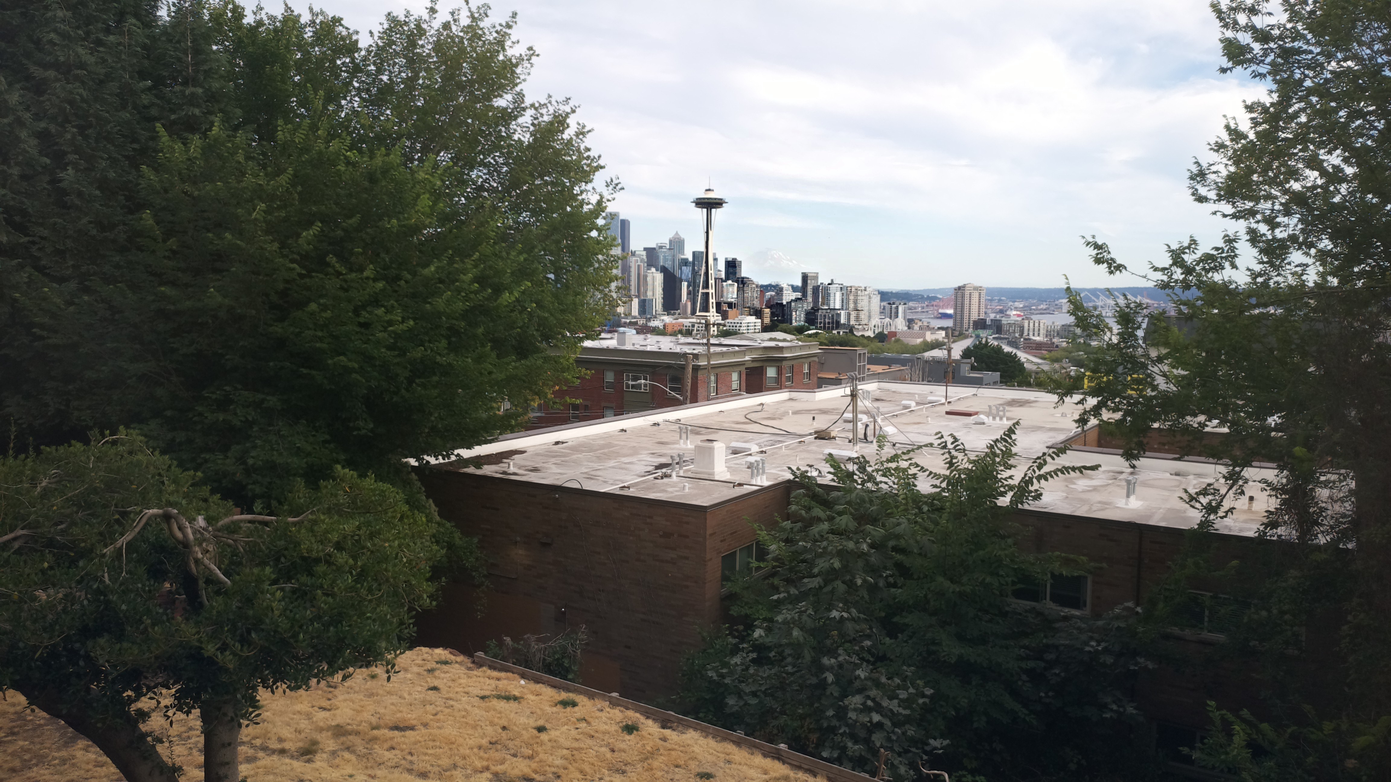 Mt. Rainier from Seattle — Sunday, August 9