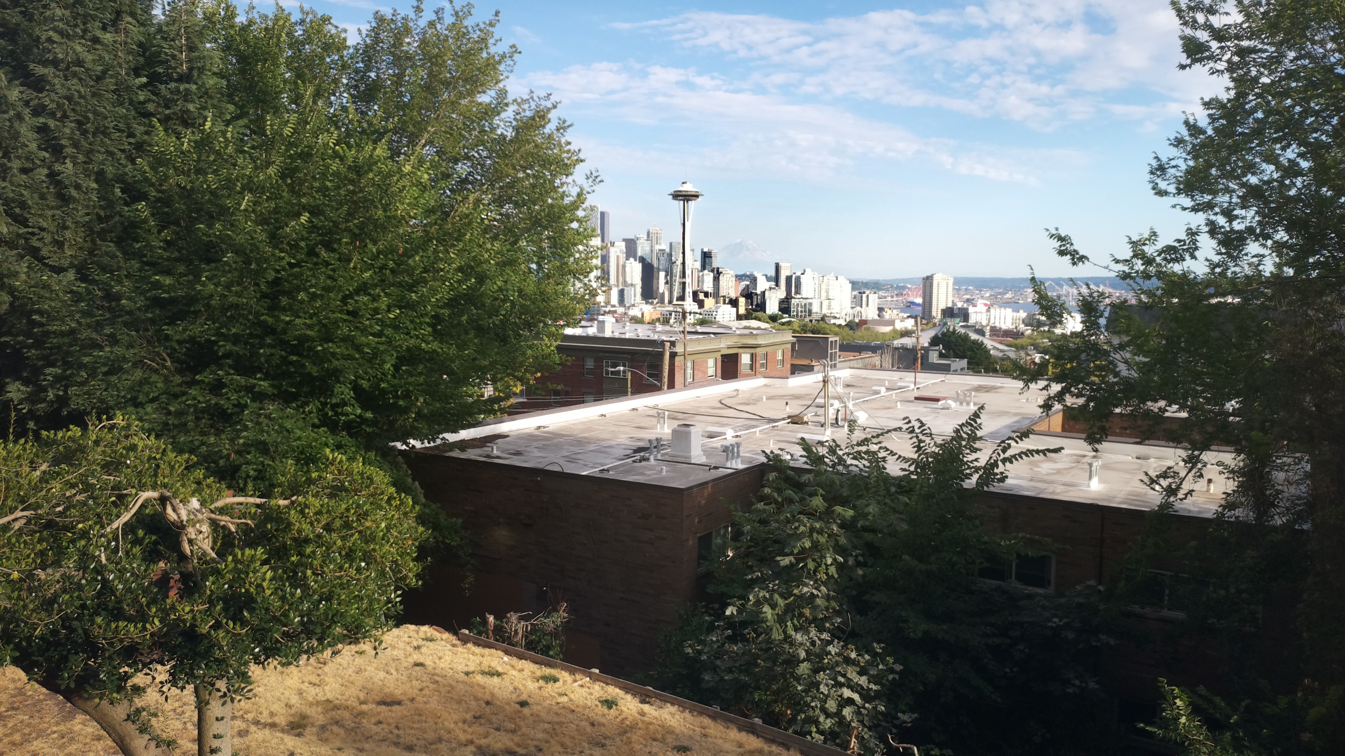Mt. Rainier from Seattle — Sunday, August 9