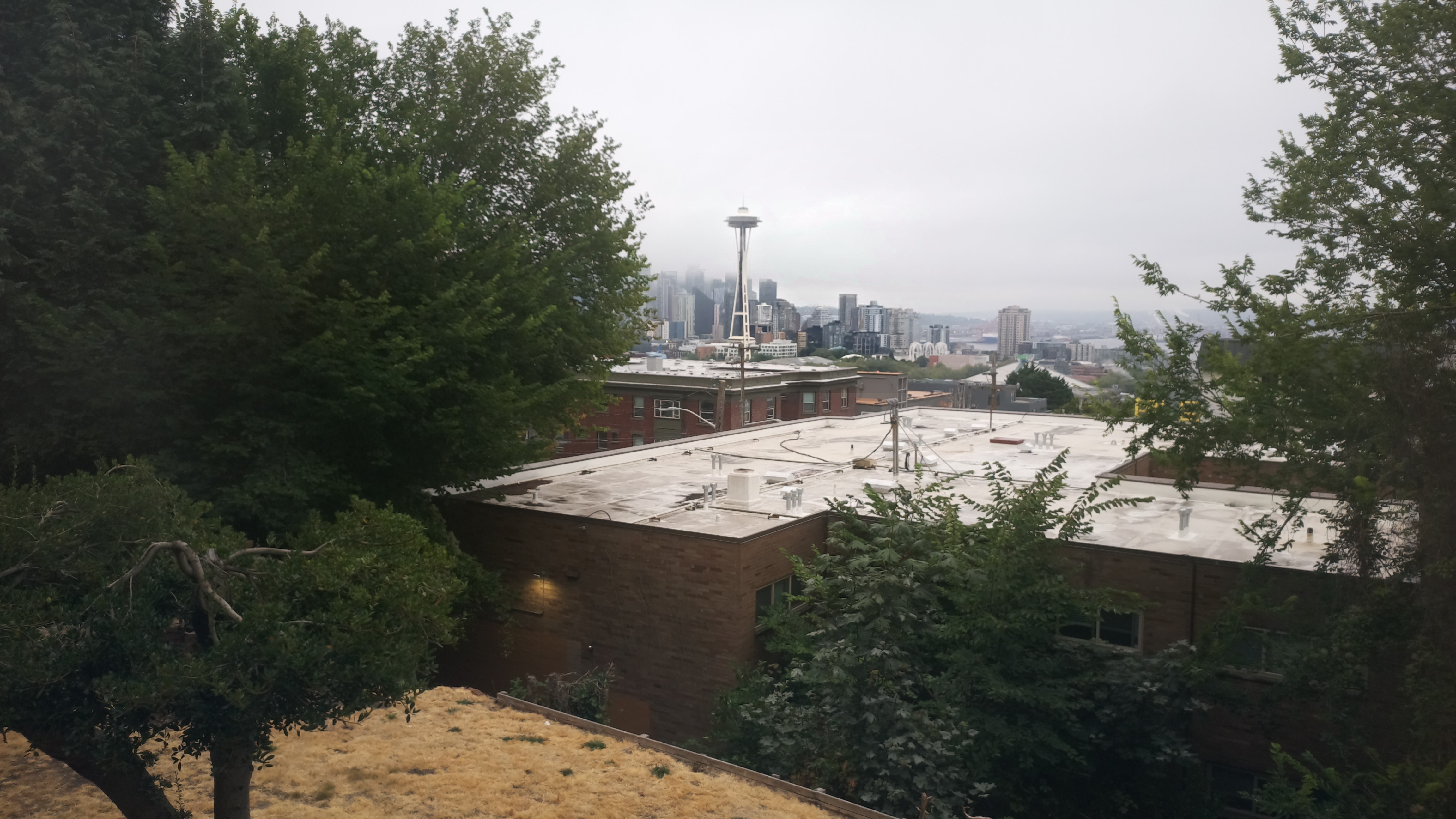 Mt. Rainier from Seattle — Monday, August 10