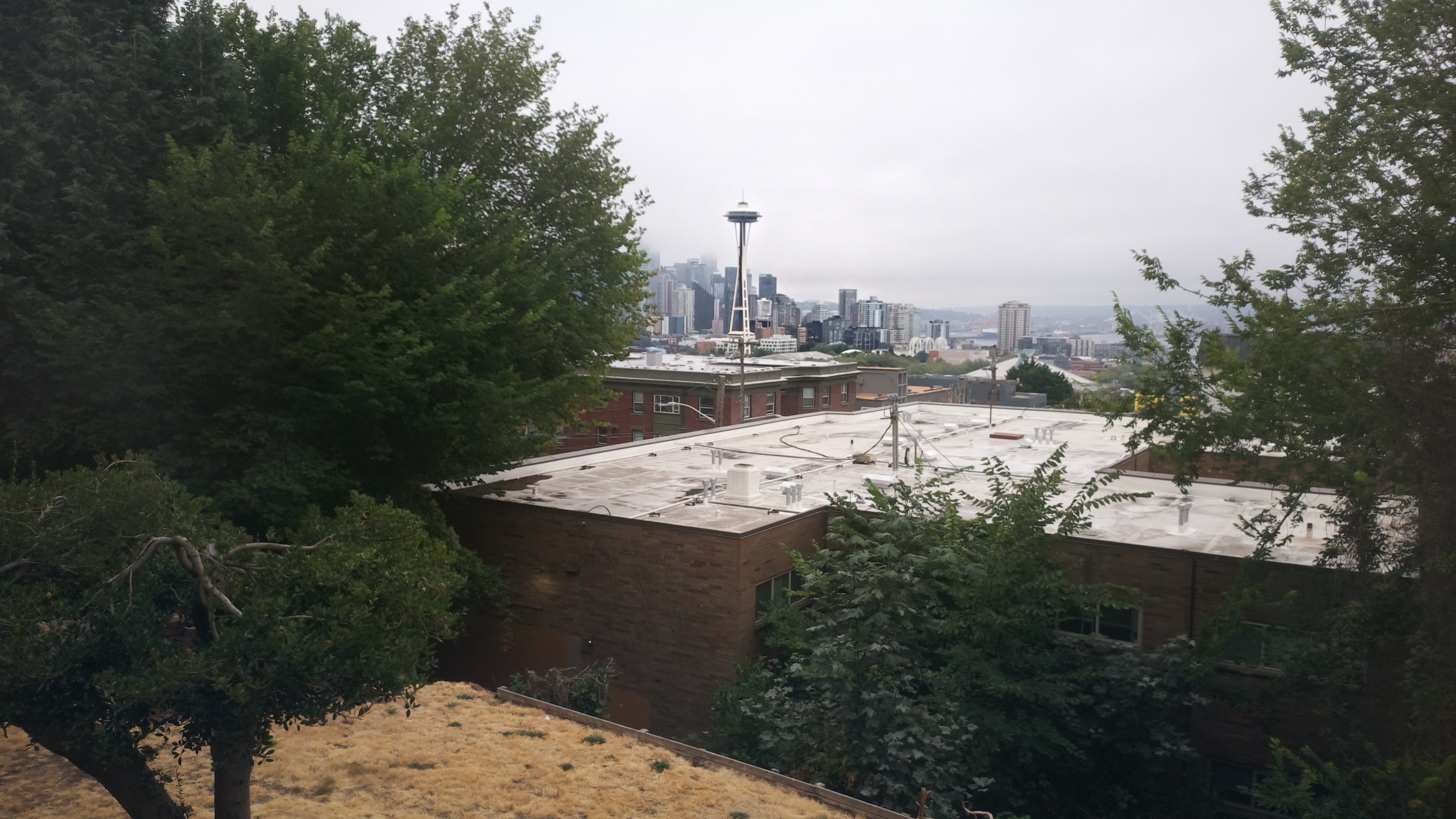 Mt. Rainier from Seattle — Monday, August 10