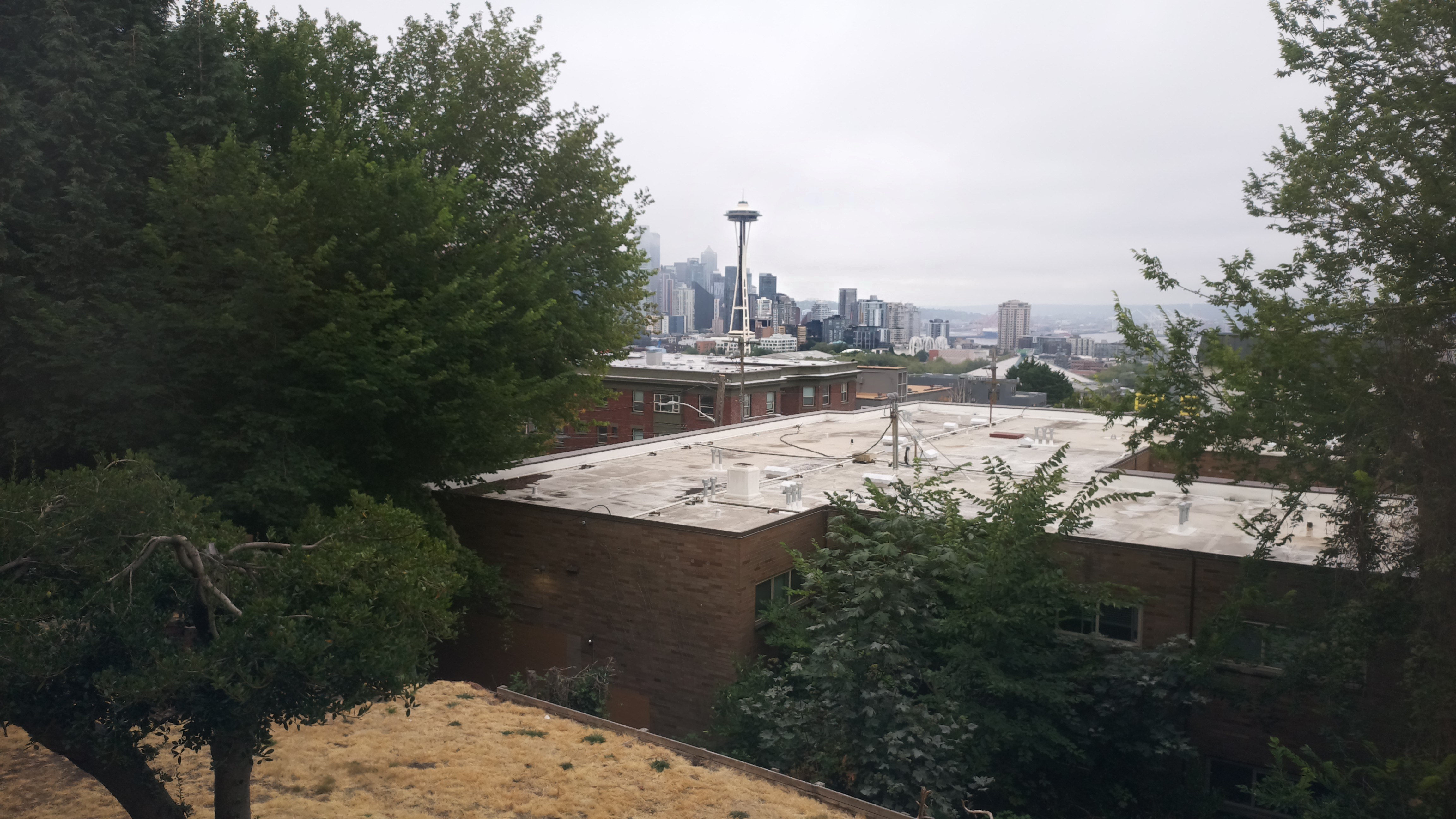 Mt. Rainier from Seattle — Monday, August 10