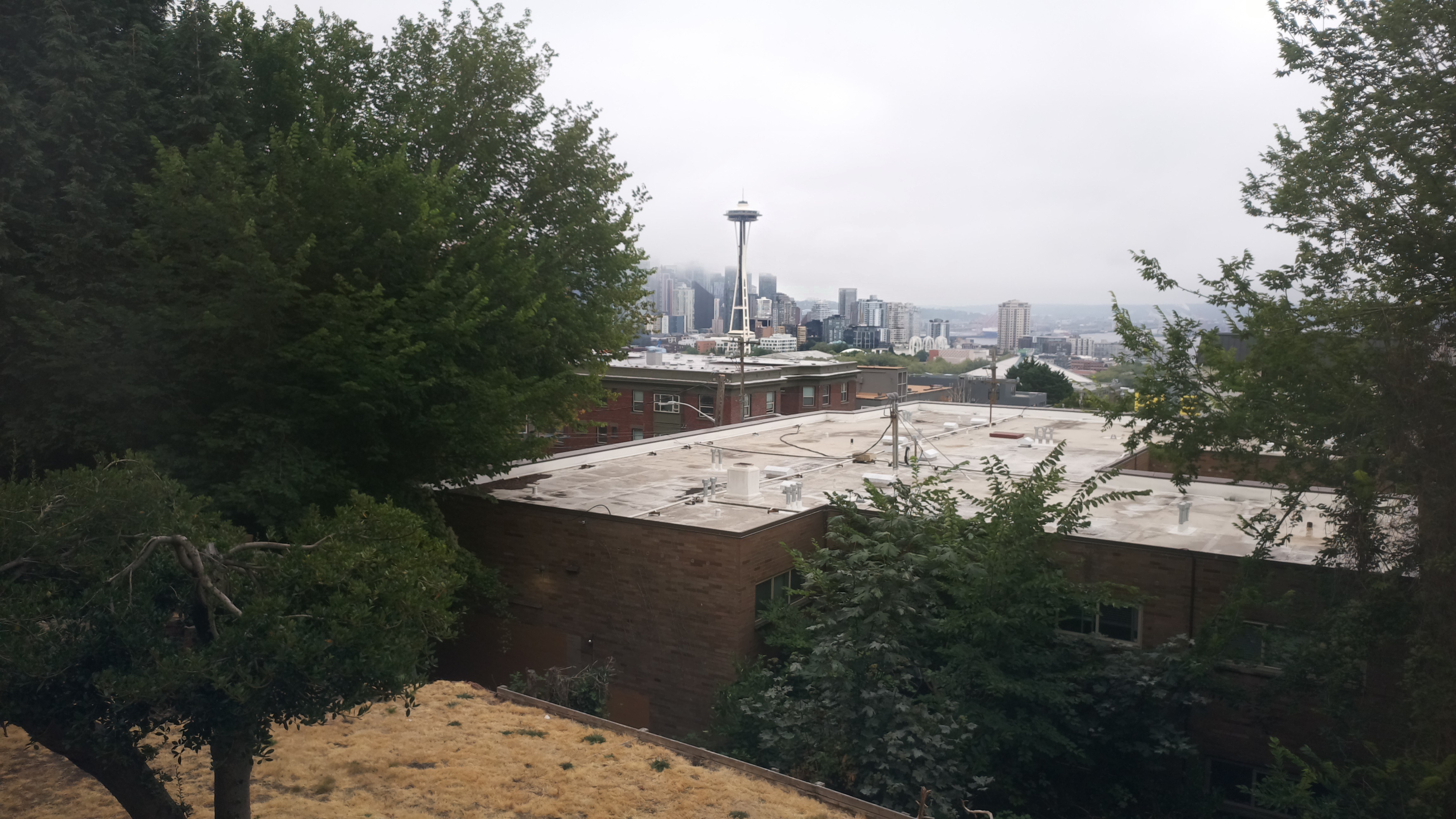 Mt. Rainier from Seattle — Monday, August 10
