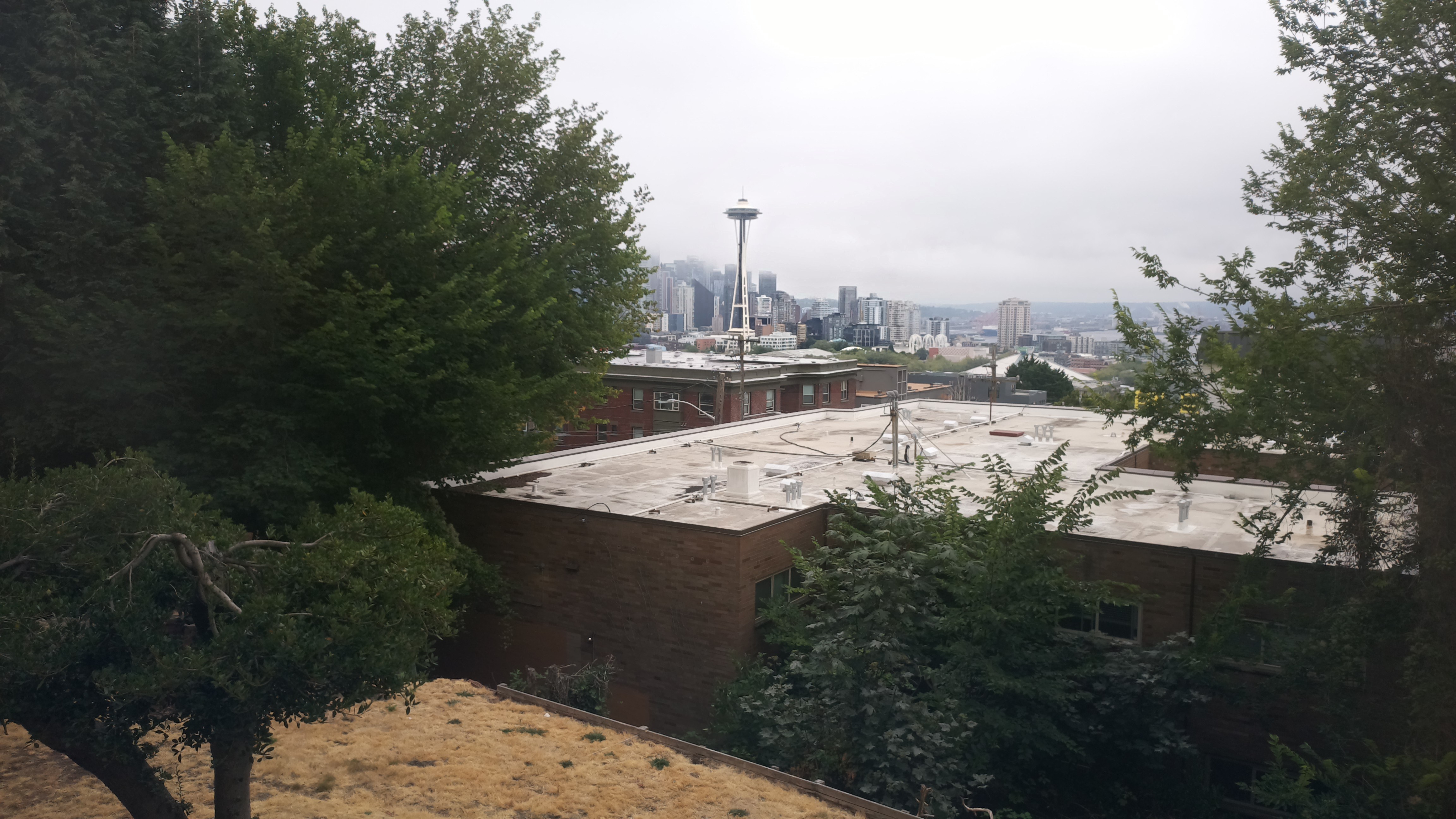 Mt. Rainier from Seattle — Monday, August 10