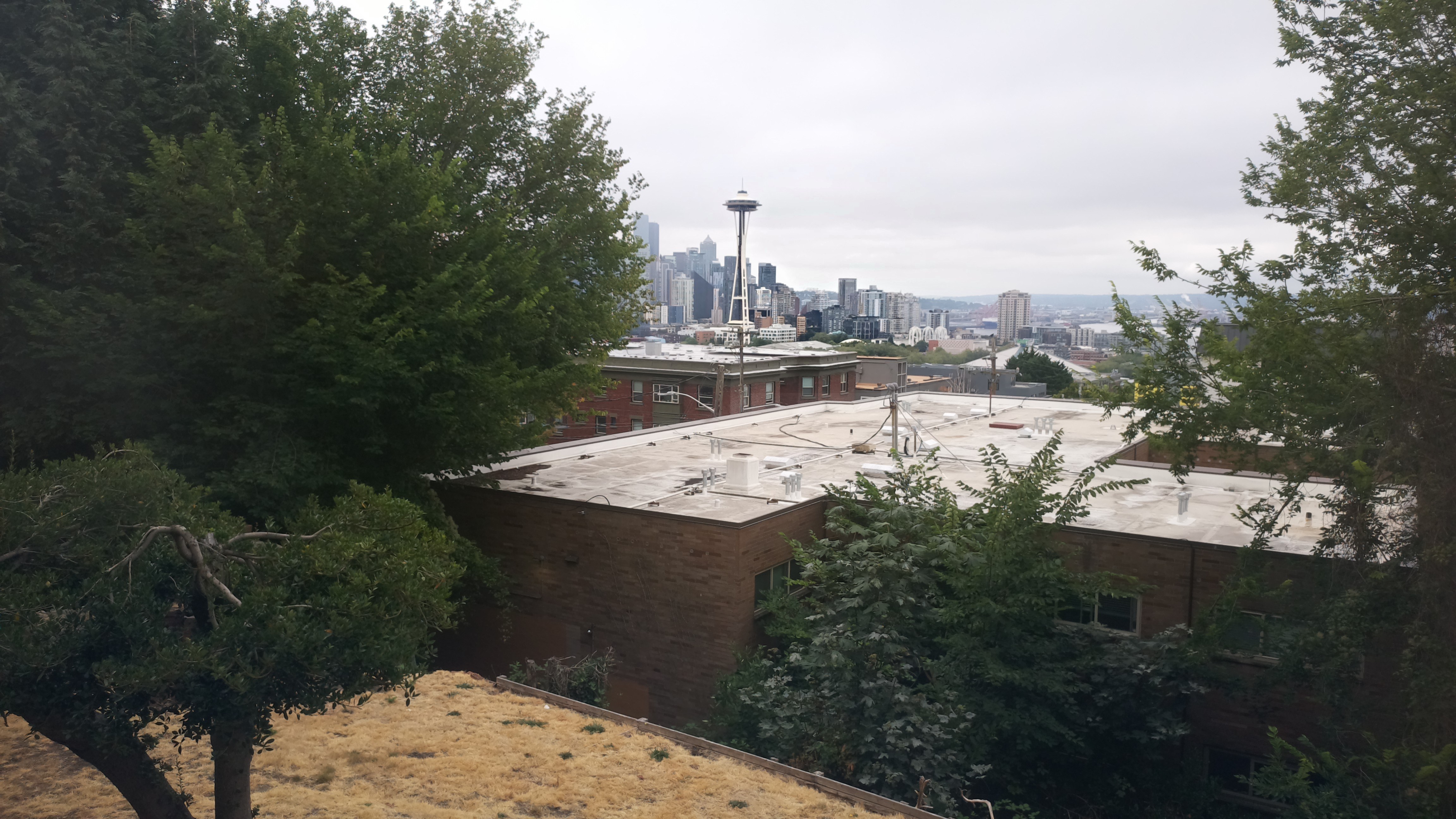 Mt. Rainier from Seattle — Monday, August 10