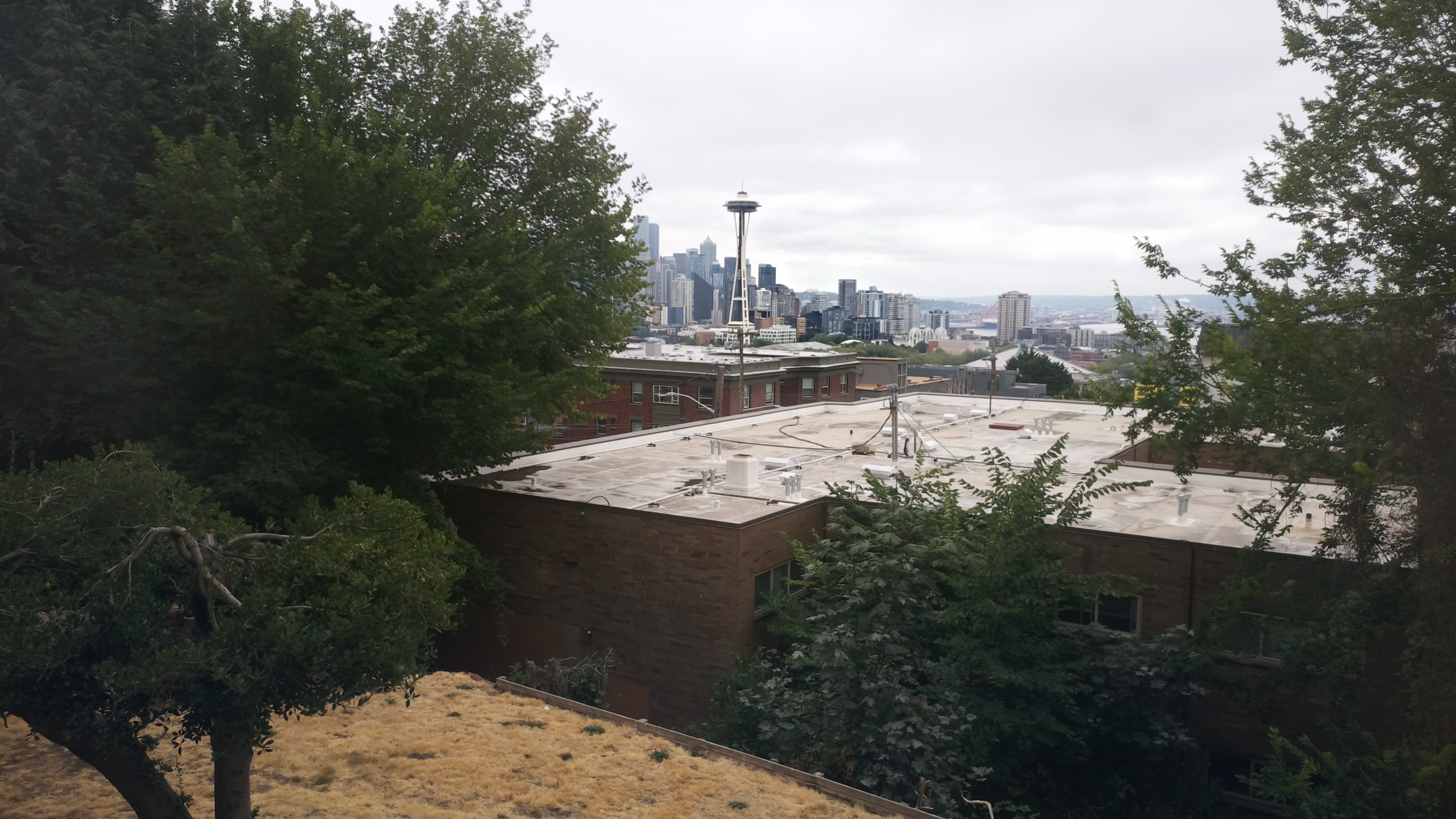 Mt. Rainier from Seattle — Monday, August 10