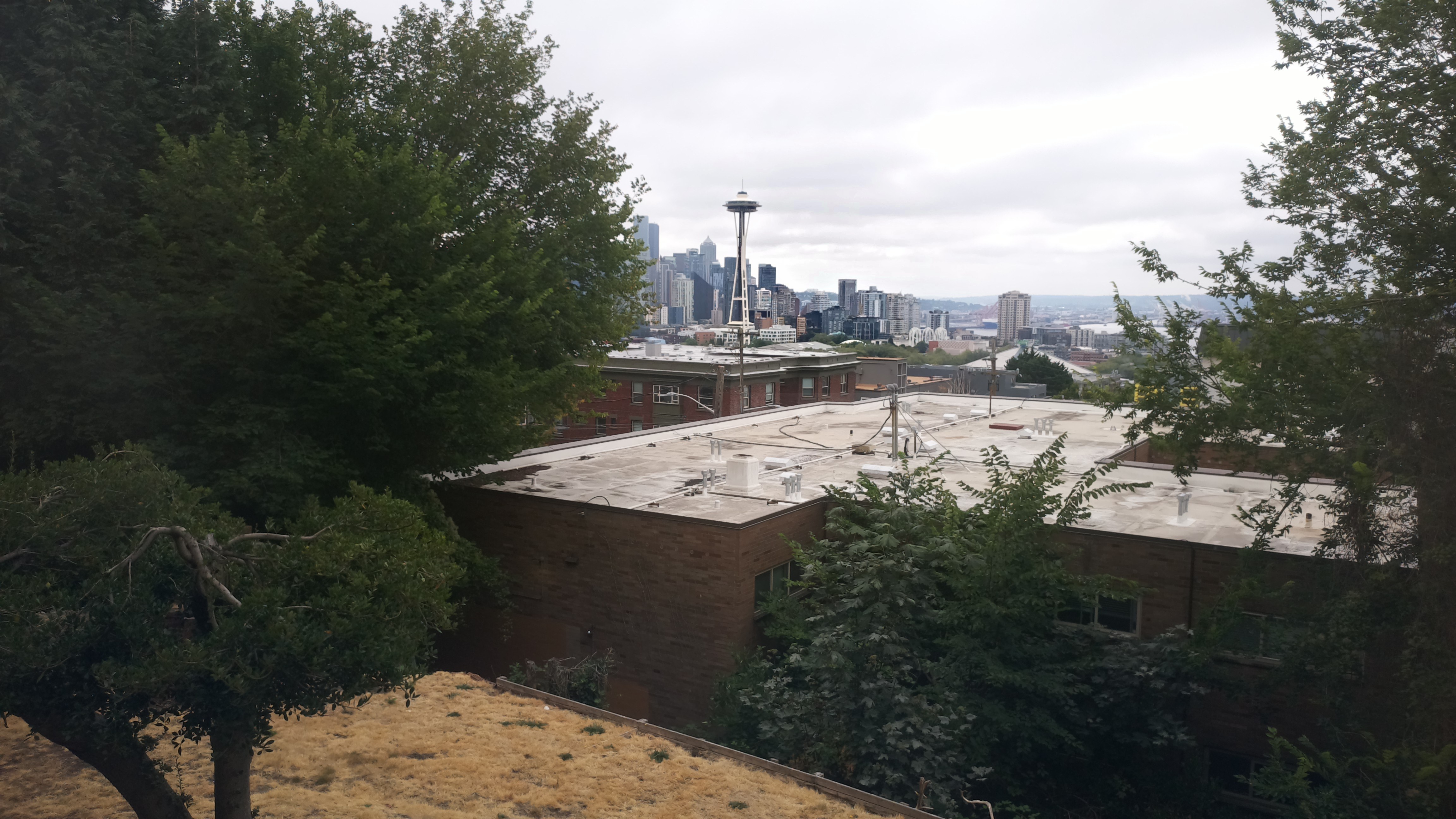 Mt. Rainier from Seattle — Monday, August 10