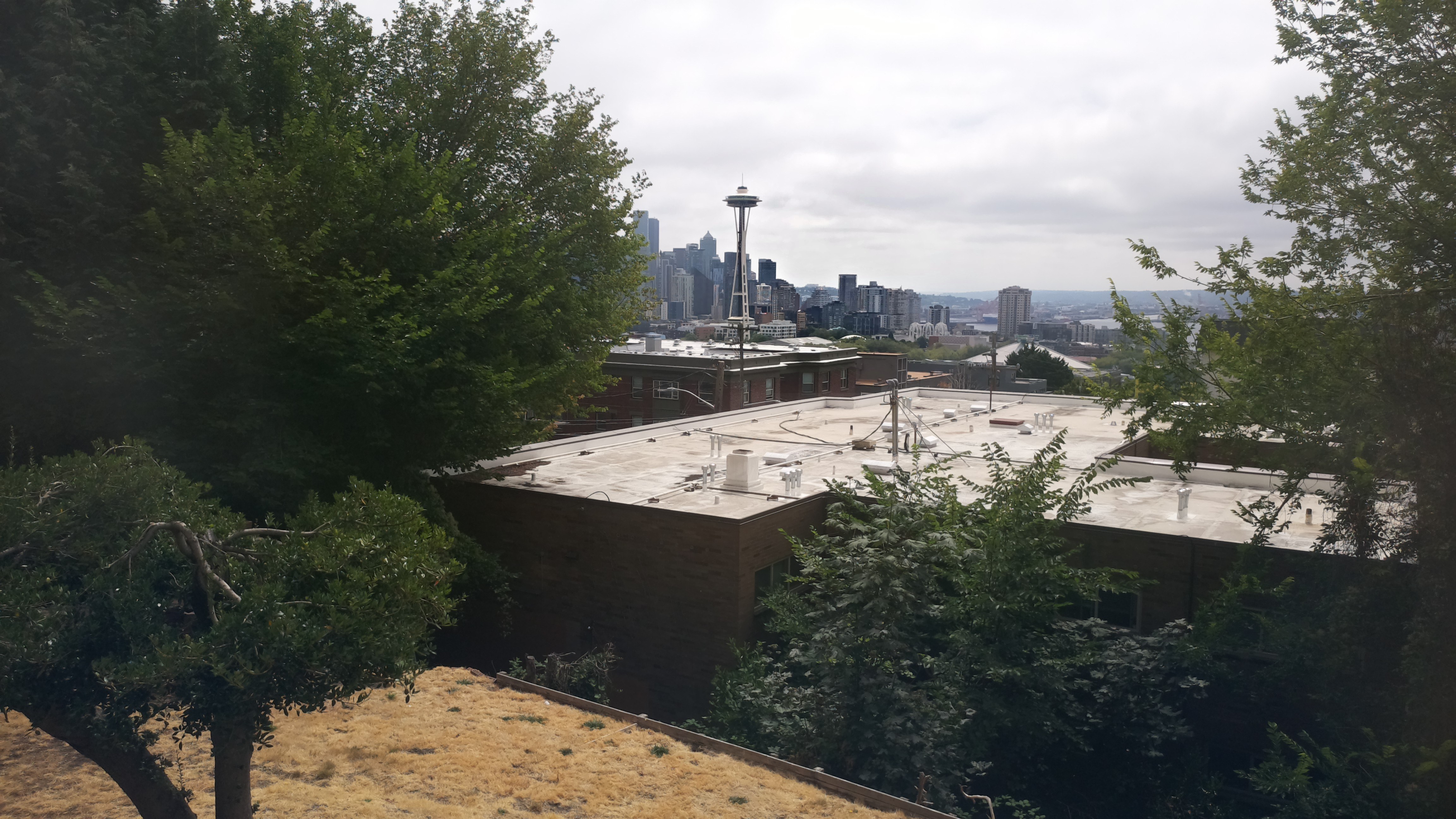 Mt. Rainier from Seattle — Monday, August 10