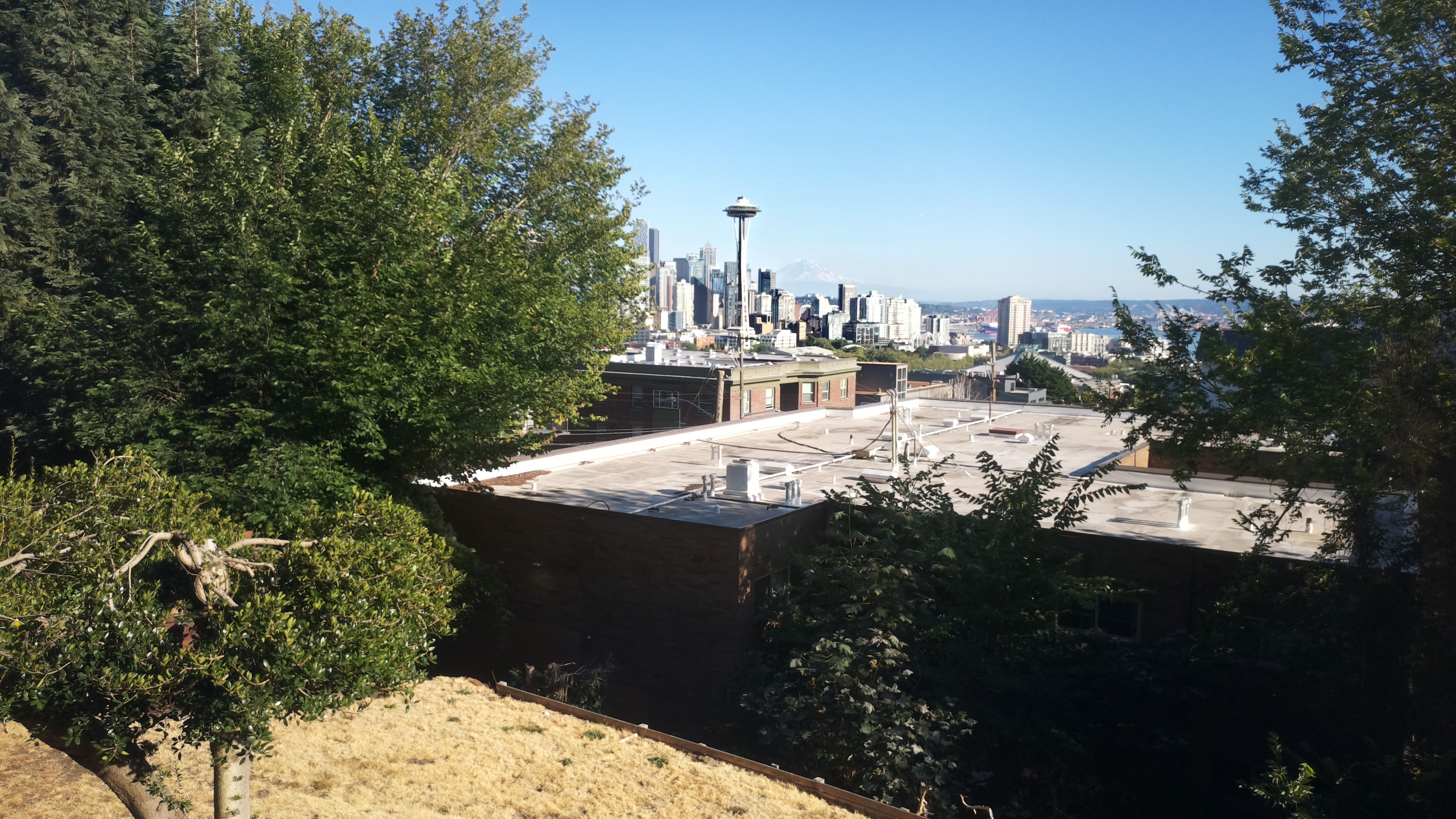 Mt. Rainier from Seattle — Monday, August 10