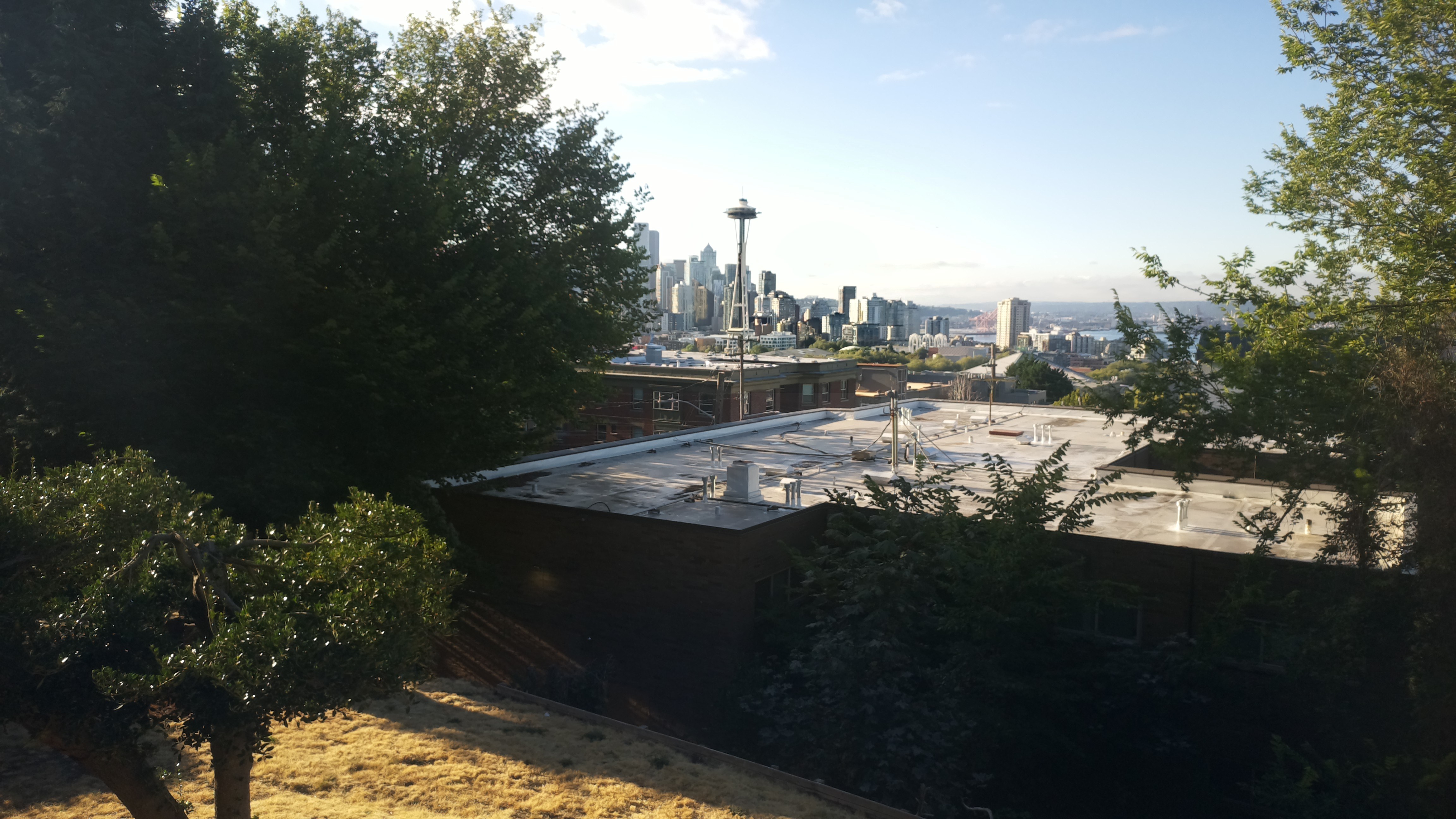 Mt. Rainier from Seattle — Tuesday, August 11