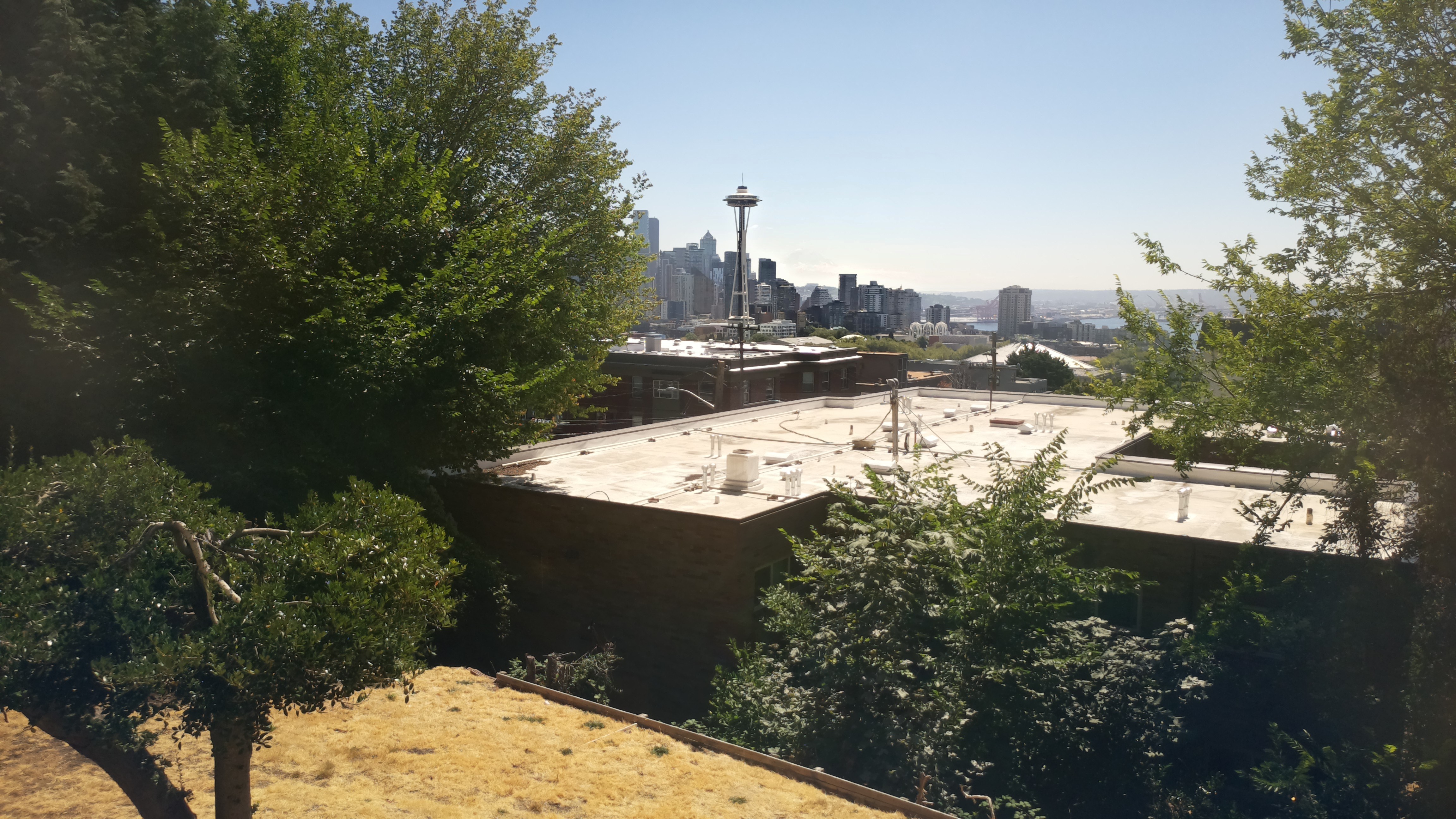 Mt. Rainier from Seattle — Tuesday, August 11