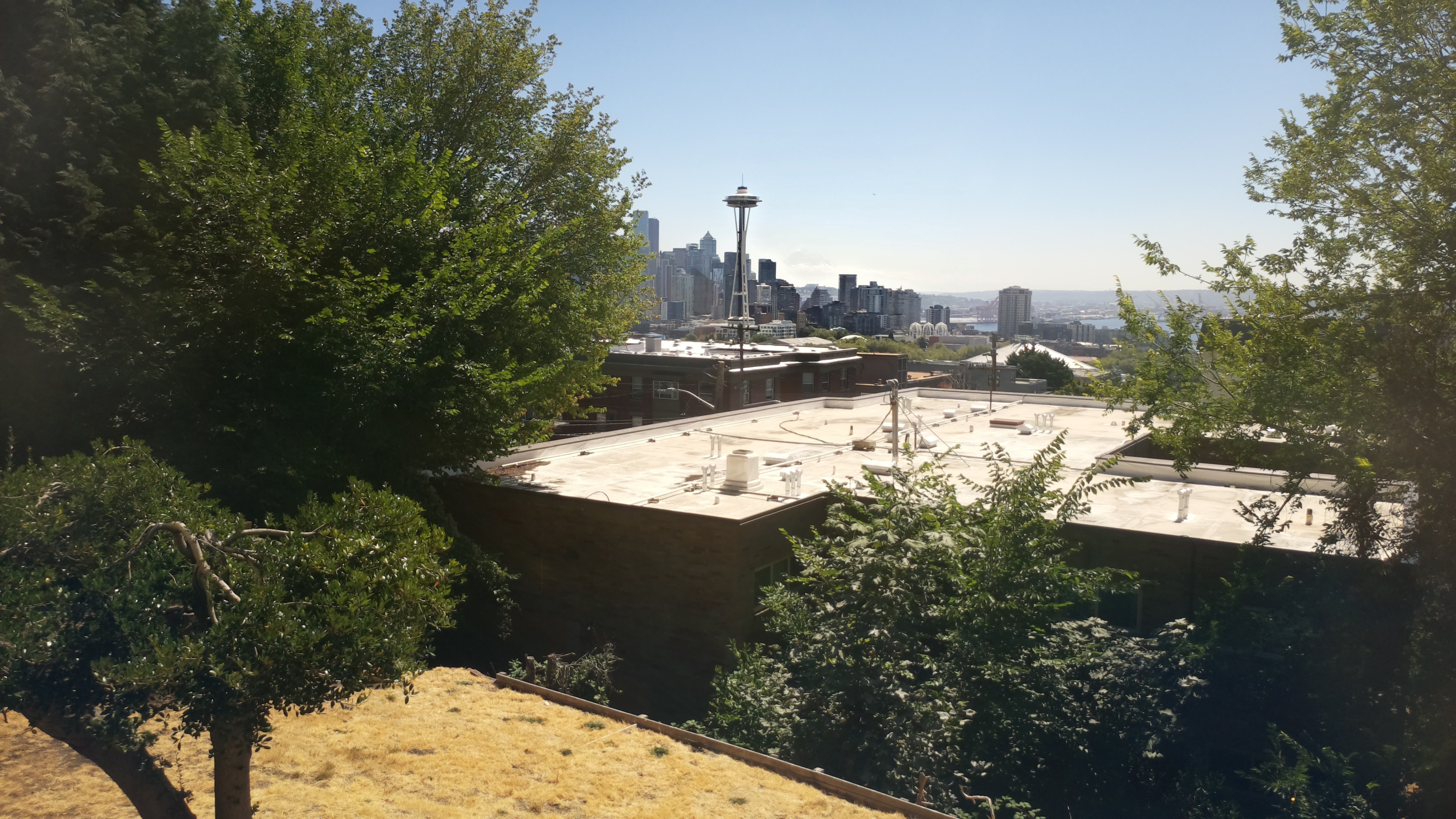 Mt. Rainier from Seattle — Tuesday, August 11
