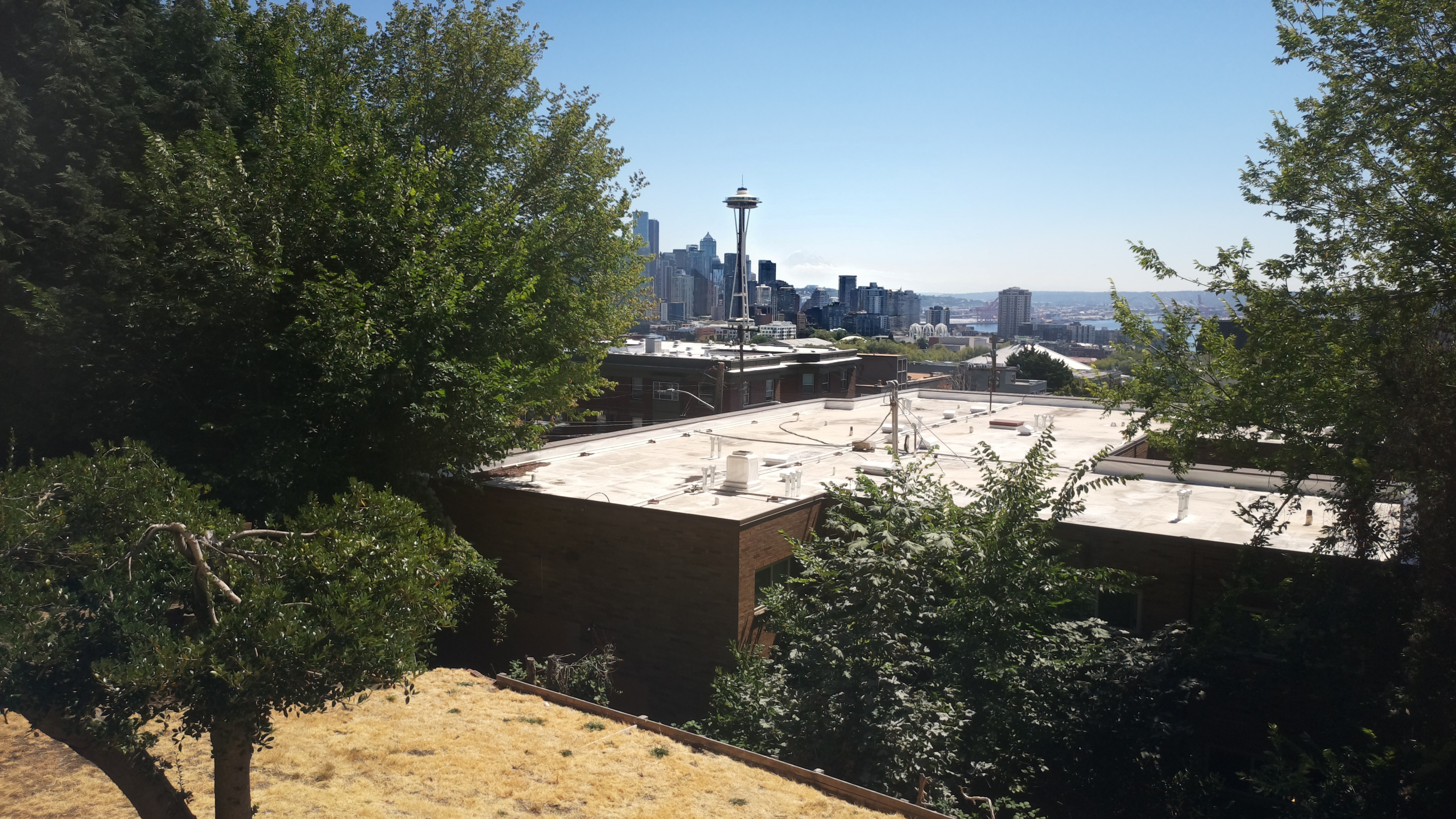 Mt. Rainier from Seattle — Tuesday, August 11
