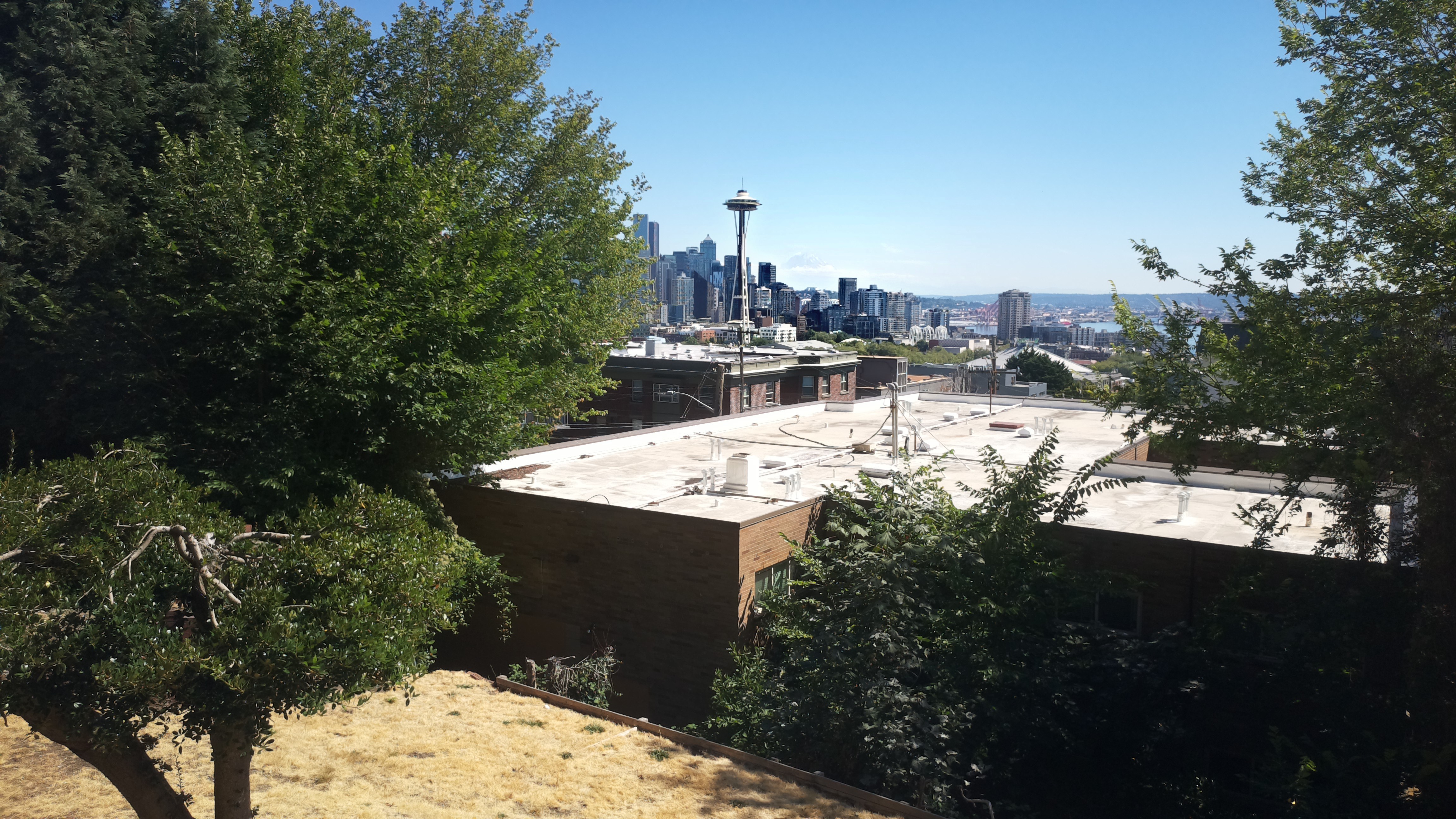 Mt. Rainier from Seattle — Tuesday, August 11