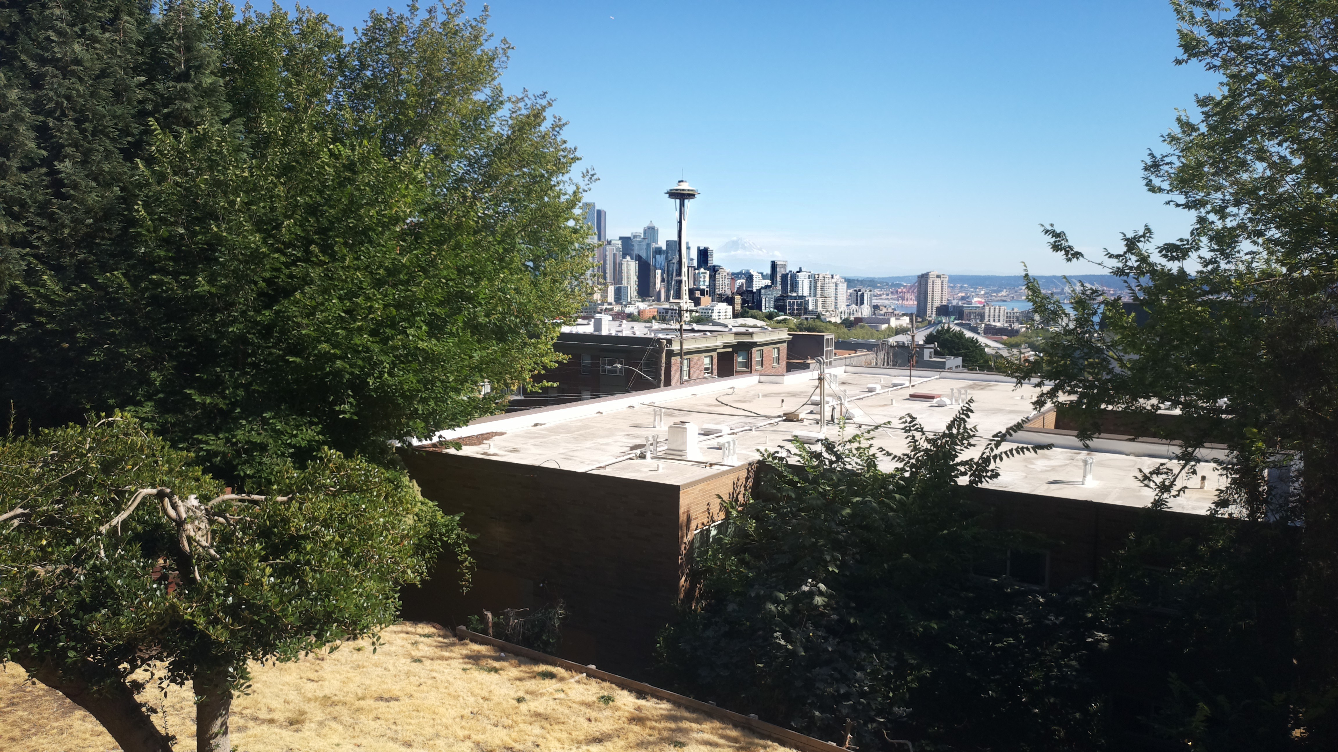 Mt. Rainier from Seattle — Tuesday, August 11