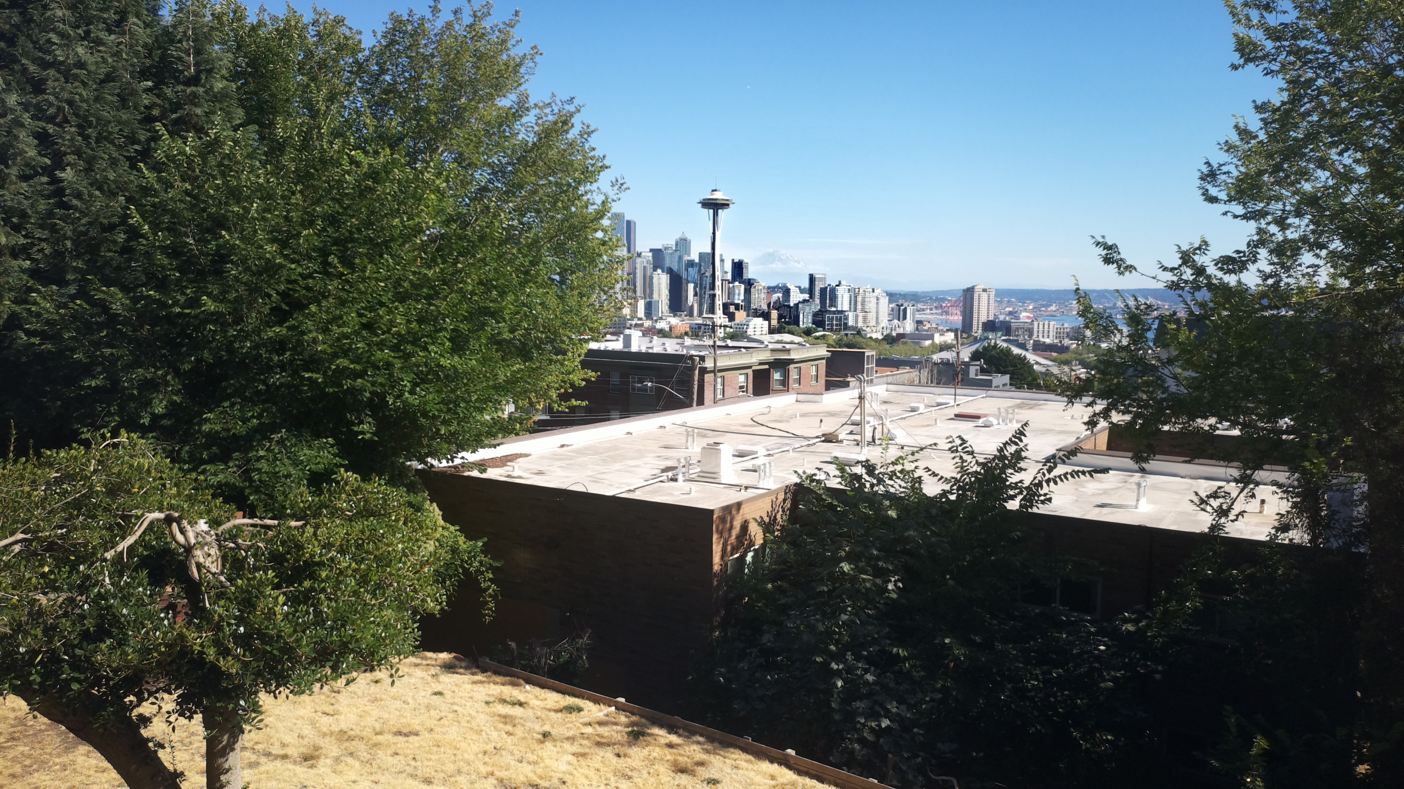 Mt. Rainier from Seattle — Tuesday, August 11
