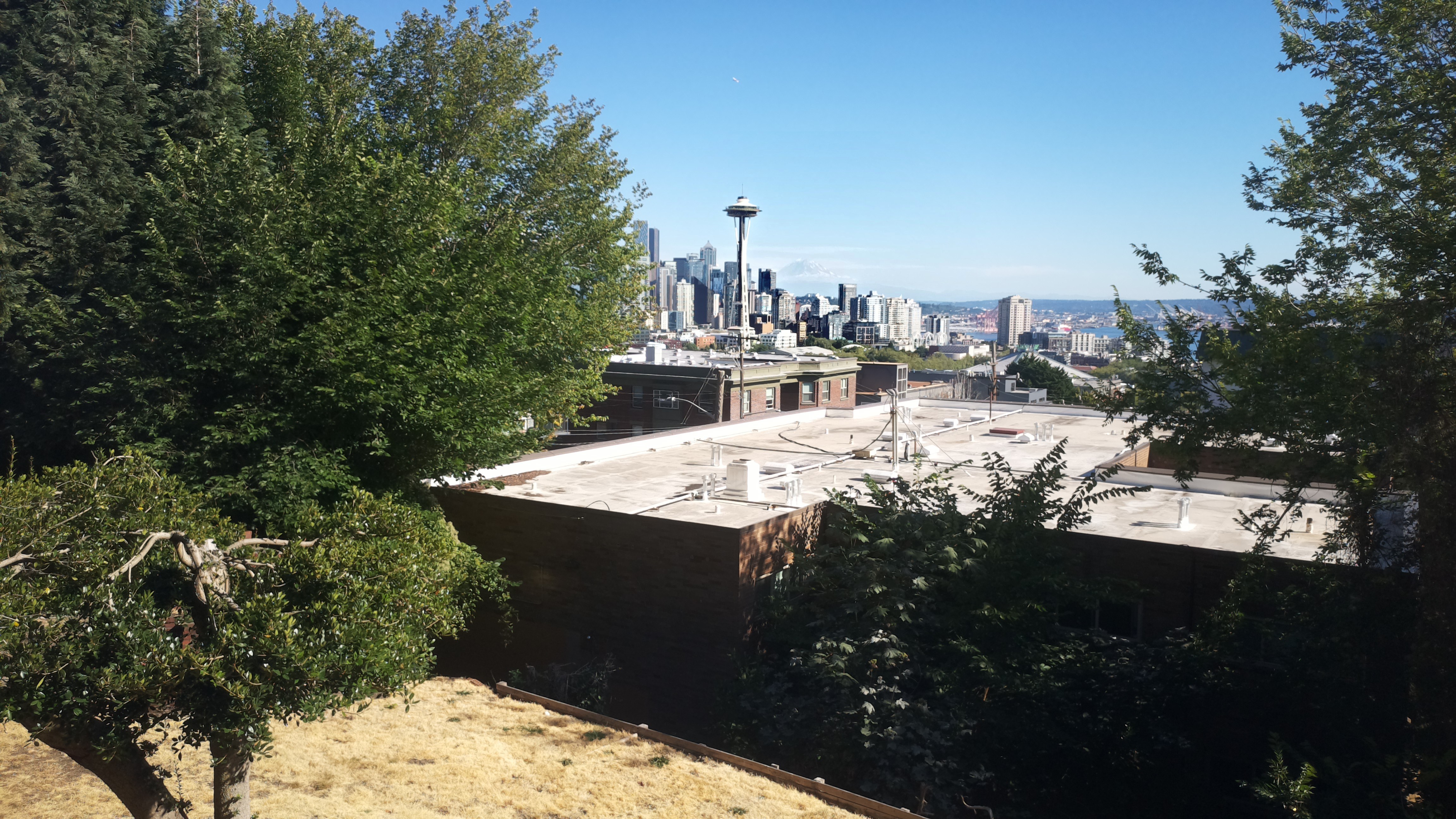 Mt. Rainier from Seattle — Tuesday, August 11
