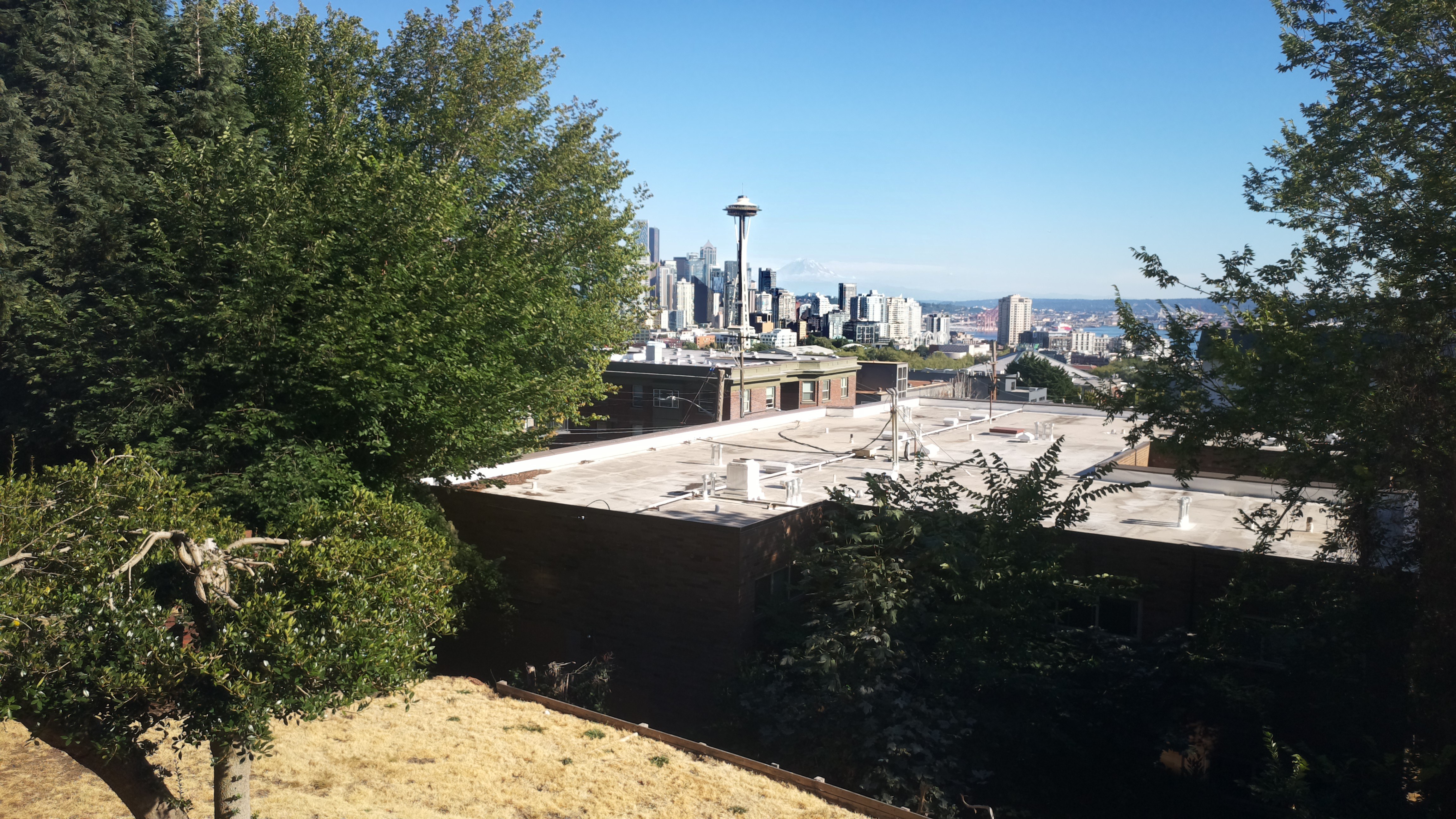 Mt. Rainier from Seattle — Tuesday, August 11