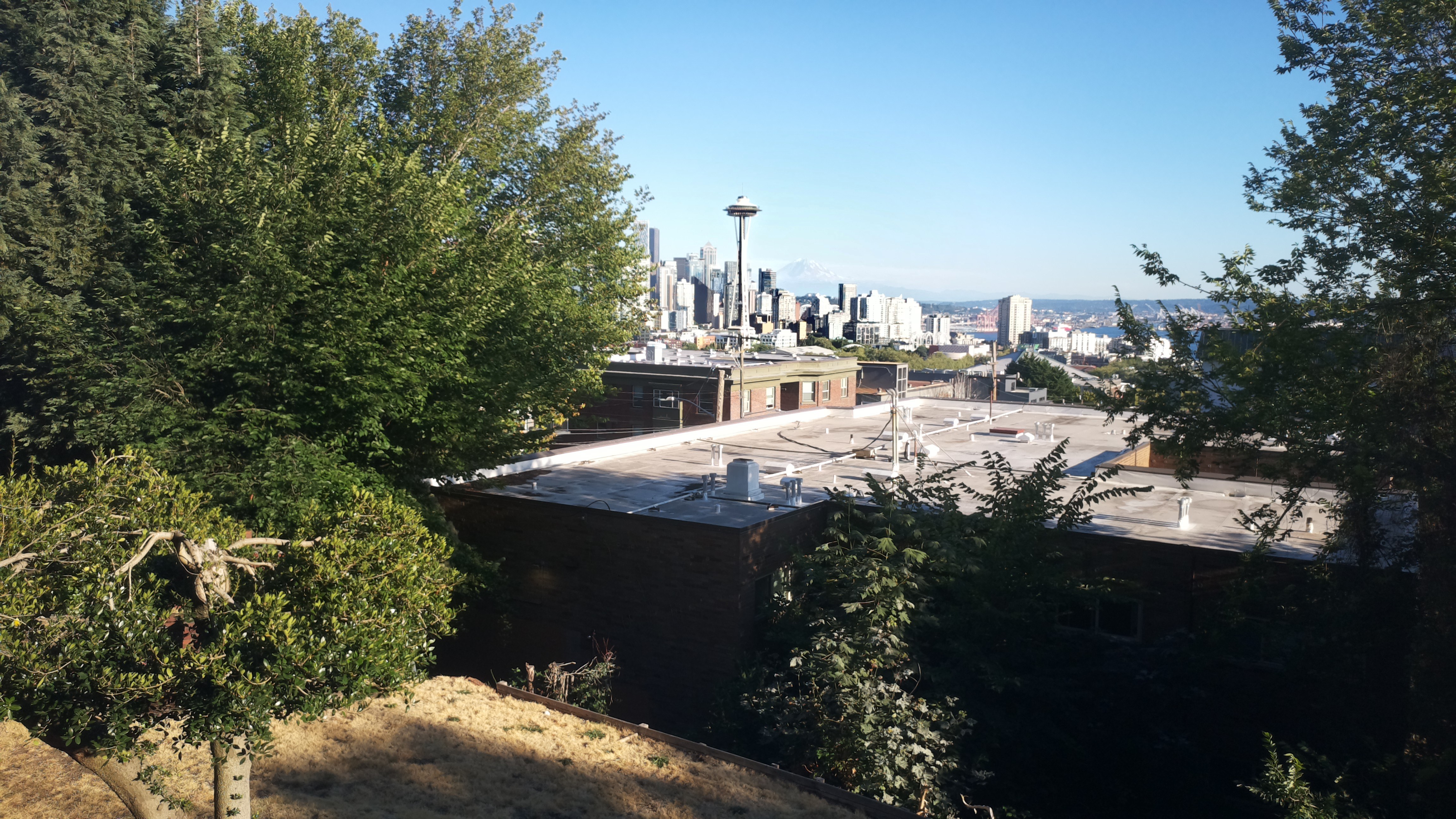 Mt. Rainier from Seattle — Tuesday, August 11