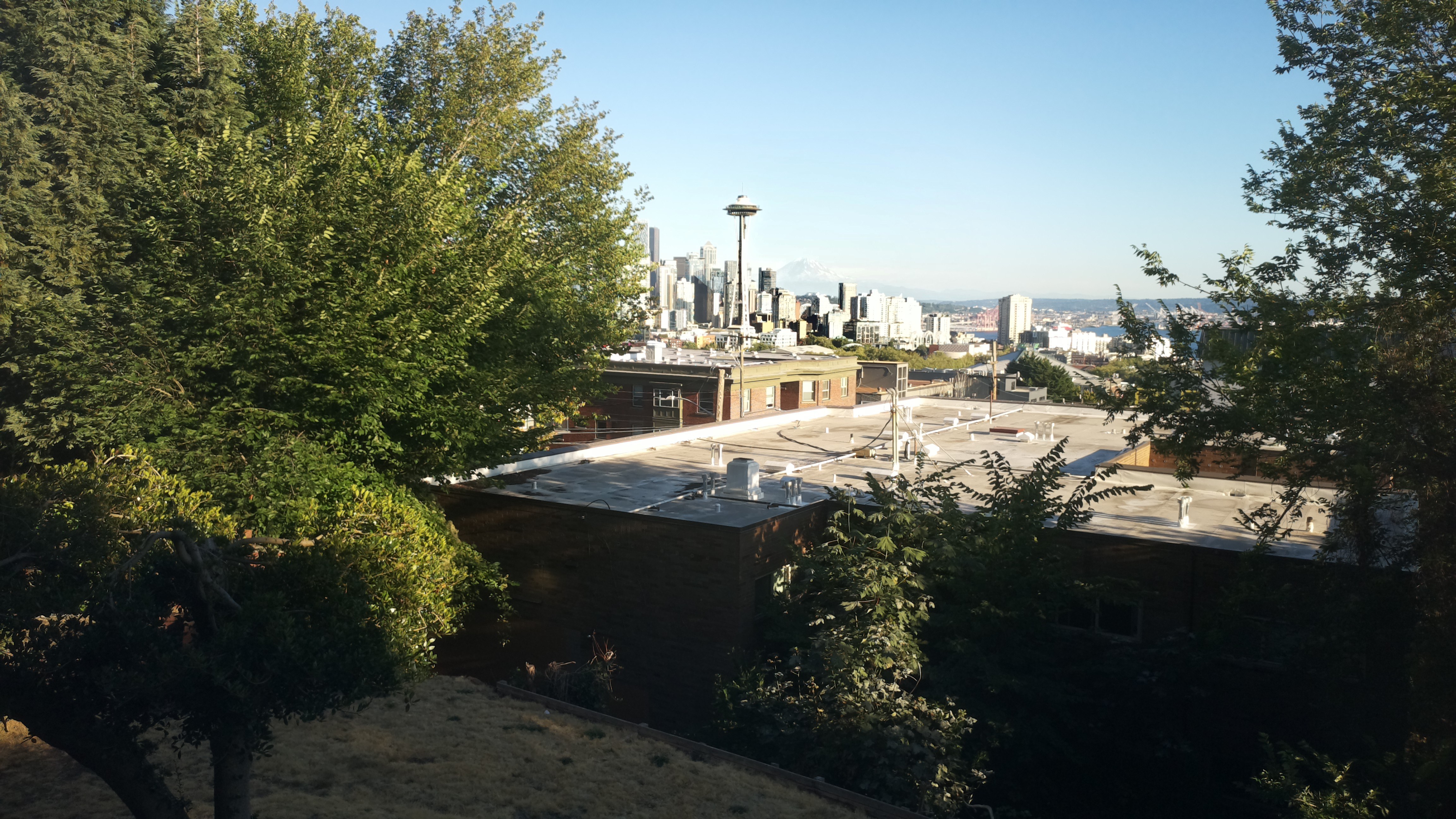 Mt. Rainier from Seattle — Tuesday, August 11