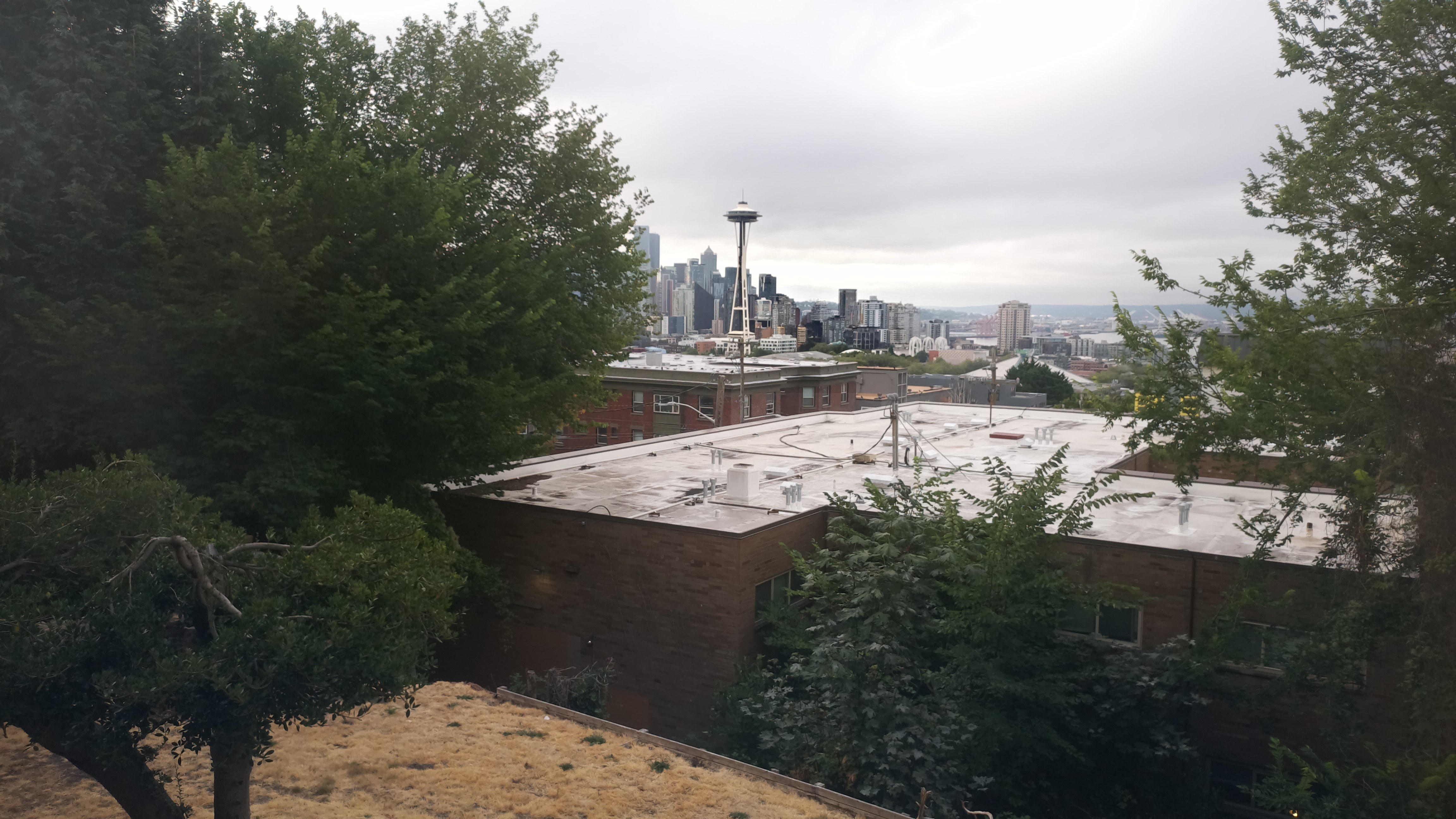Mt. Rainier from Seattle — Wednesday, August 12