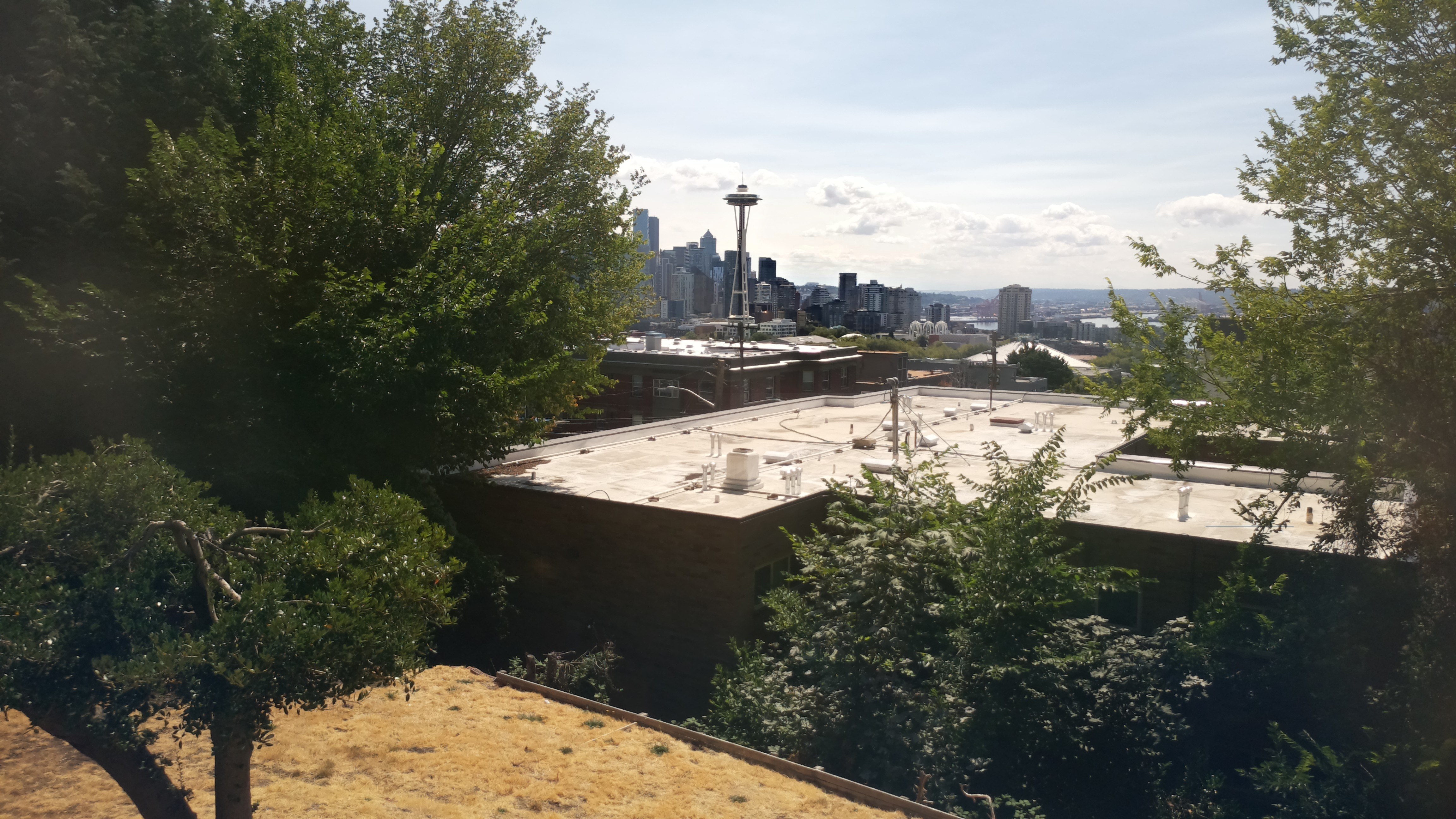 Mt. Rainier from Seattle — Wednesday, August 12