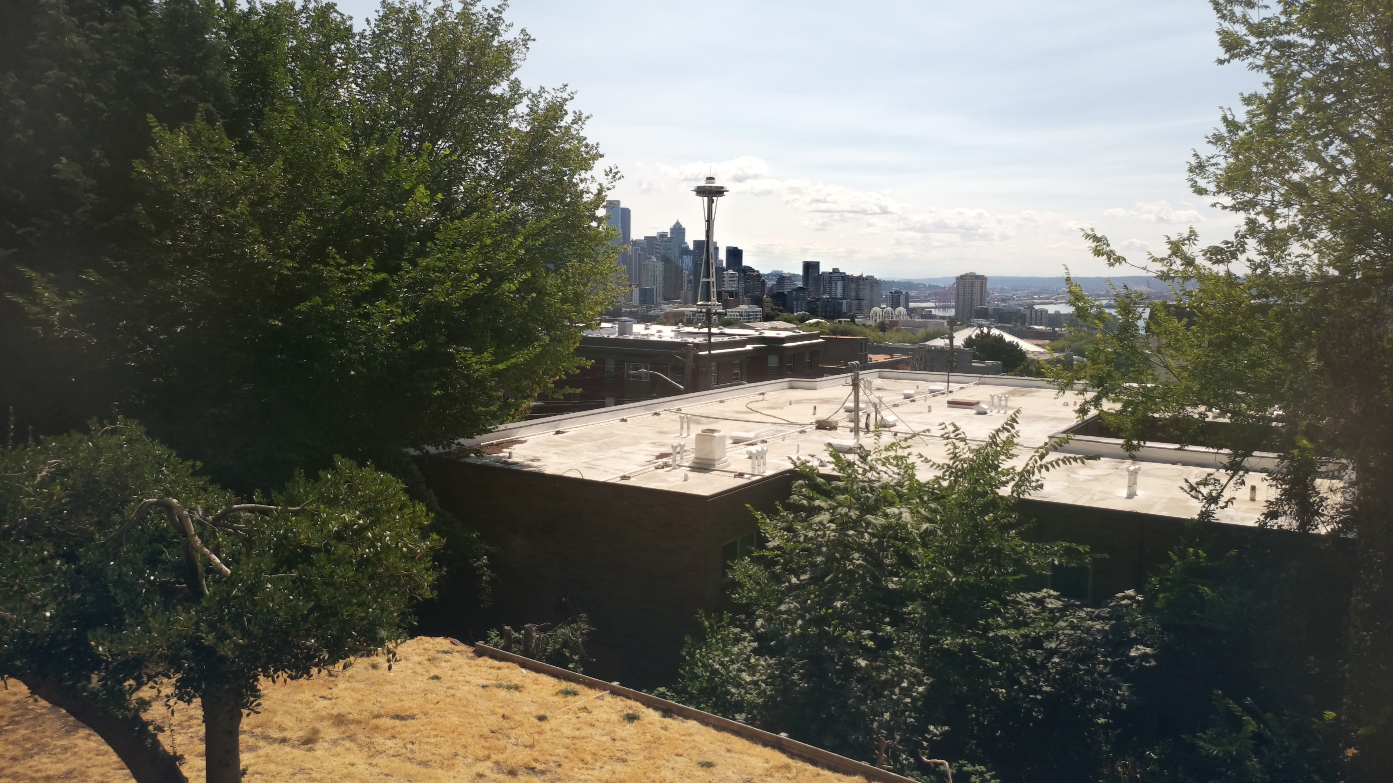 Mt. Rainier from Seattle — Wednesday, August 12