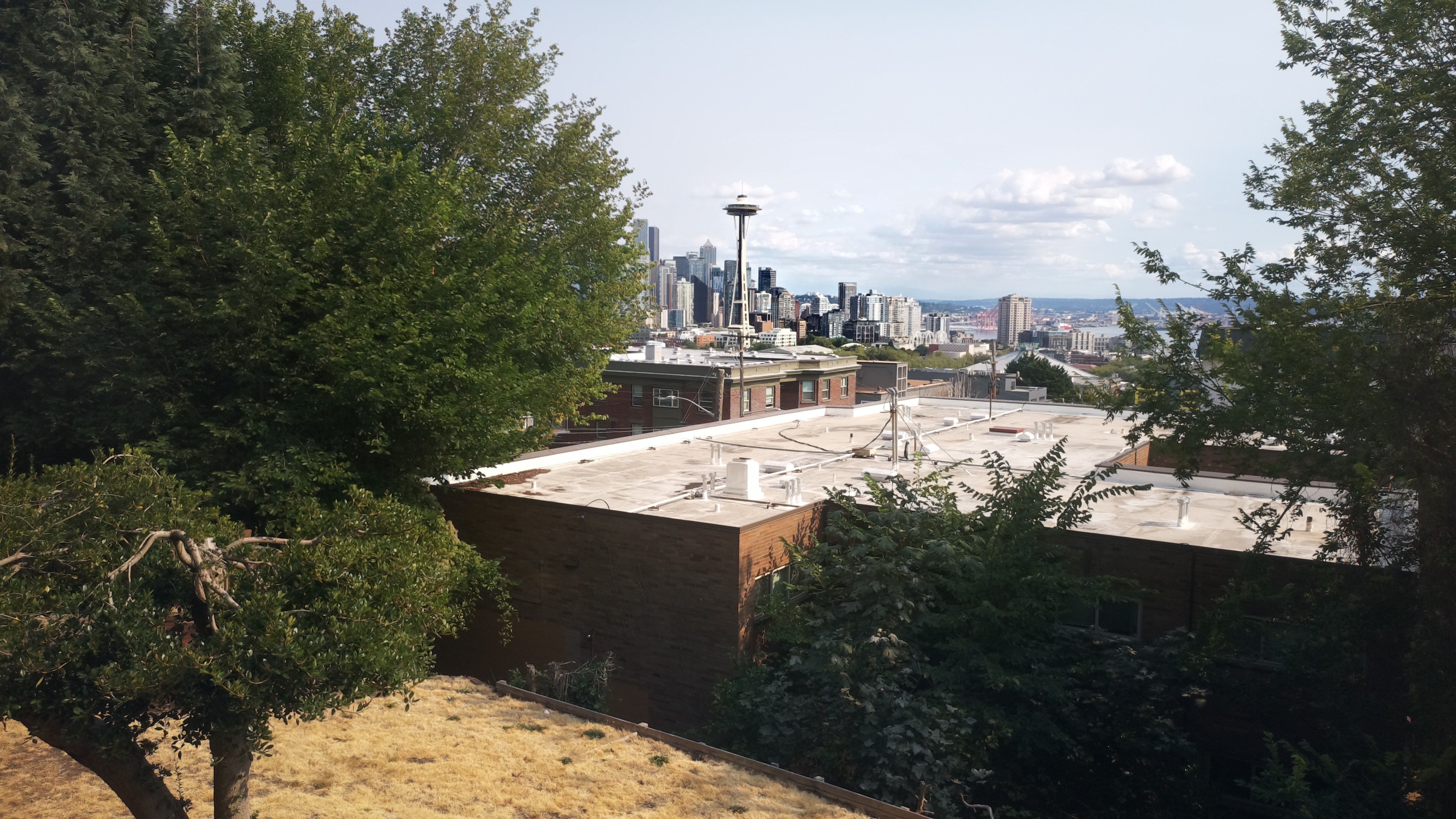 Mt. Rainier from Seattle — Wednesday, August 12