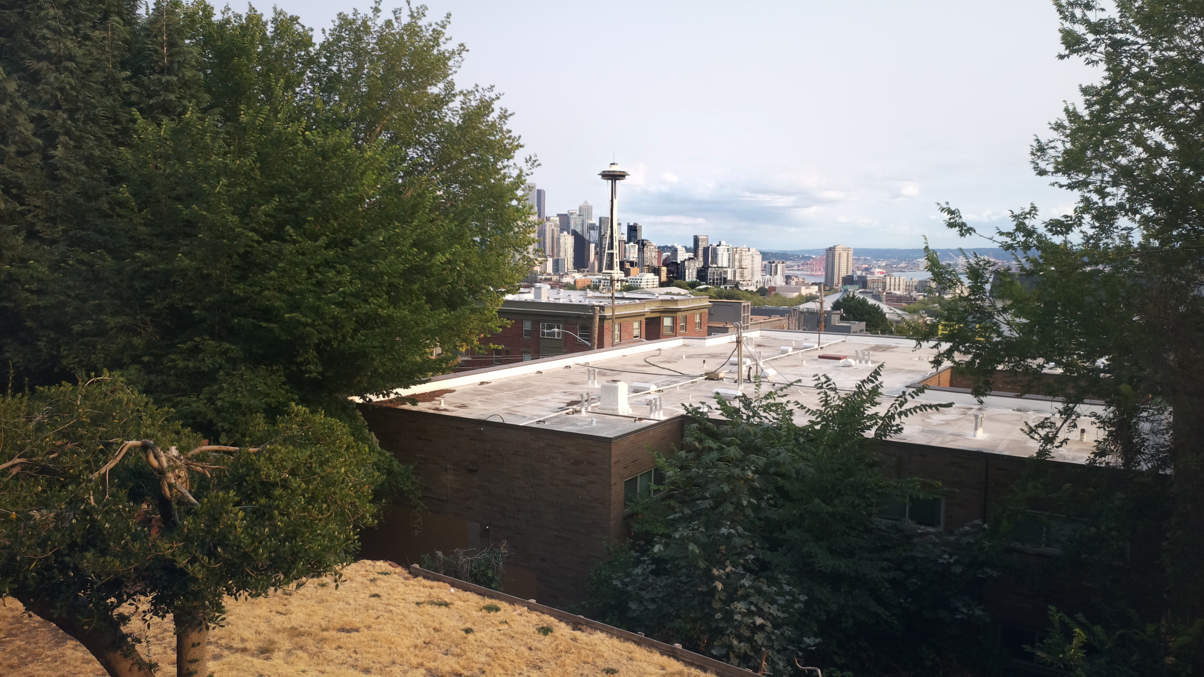 Mt. Rainier from Seattle — Wednesday, August 12