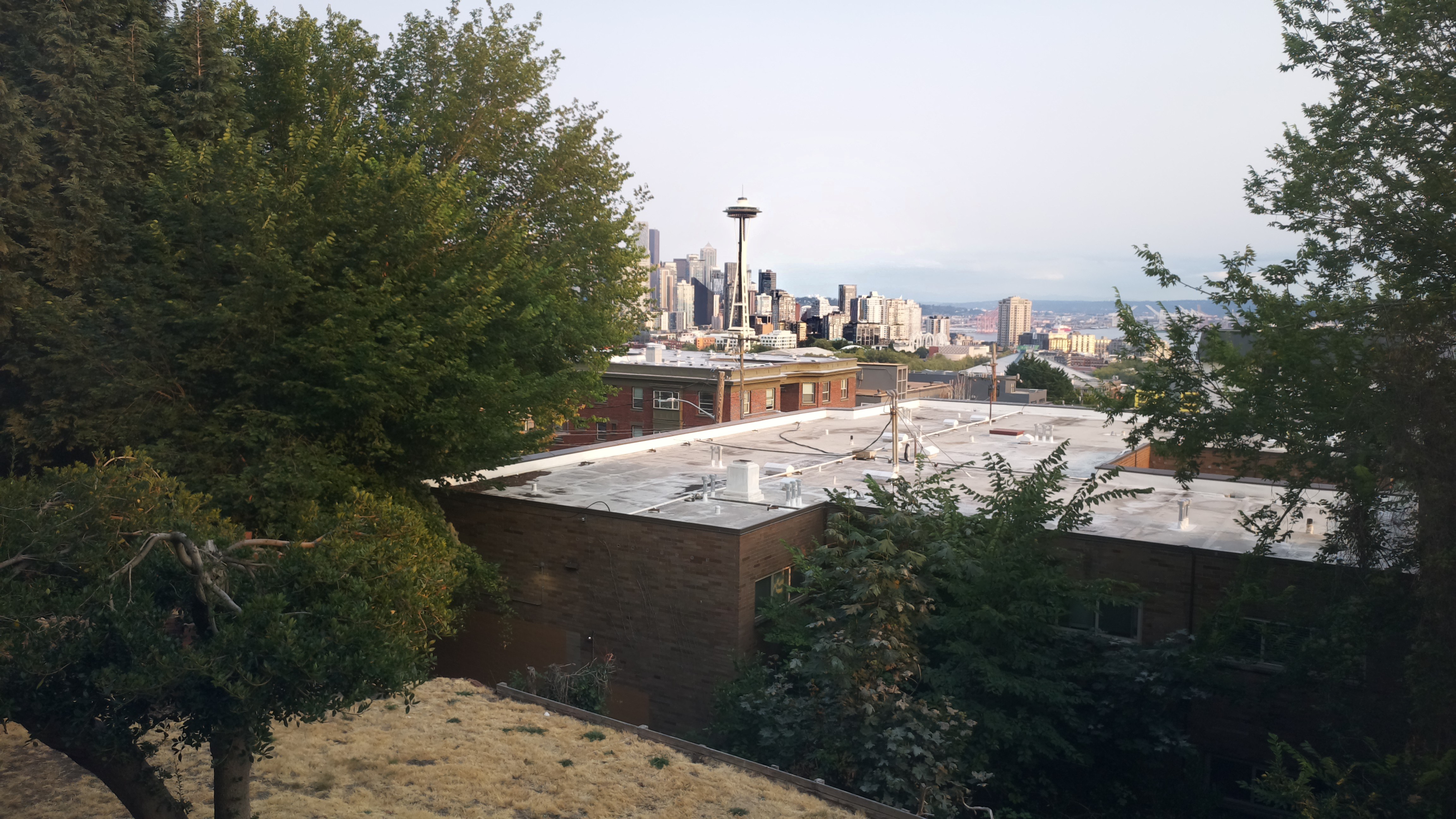 Mt. Rainier from Seattle — Wednesday, August 12