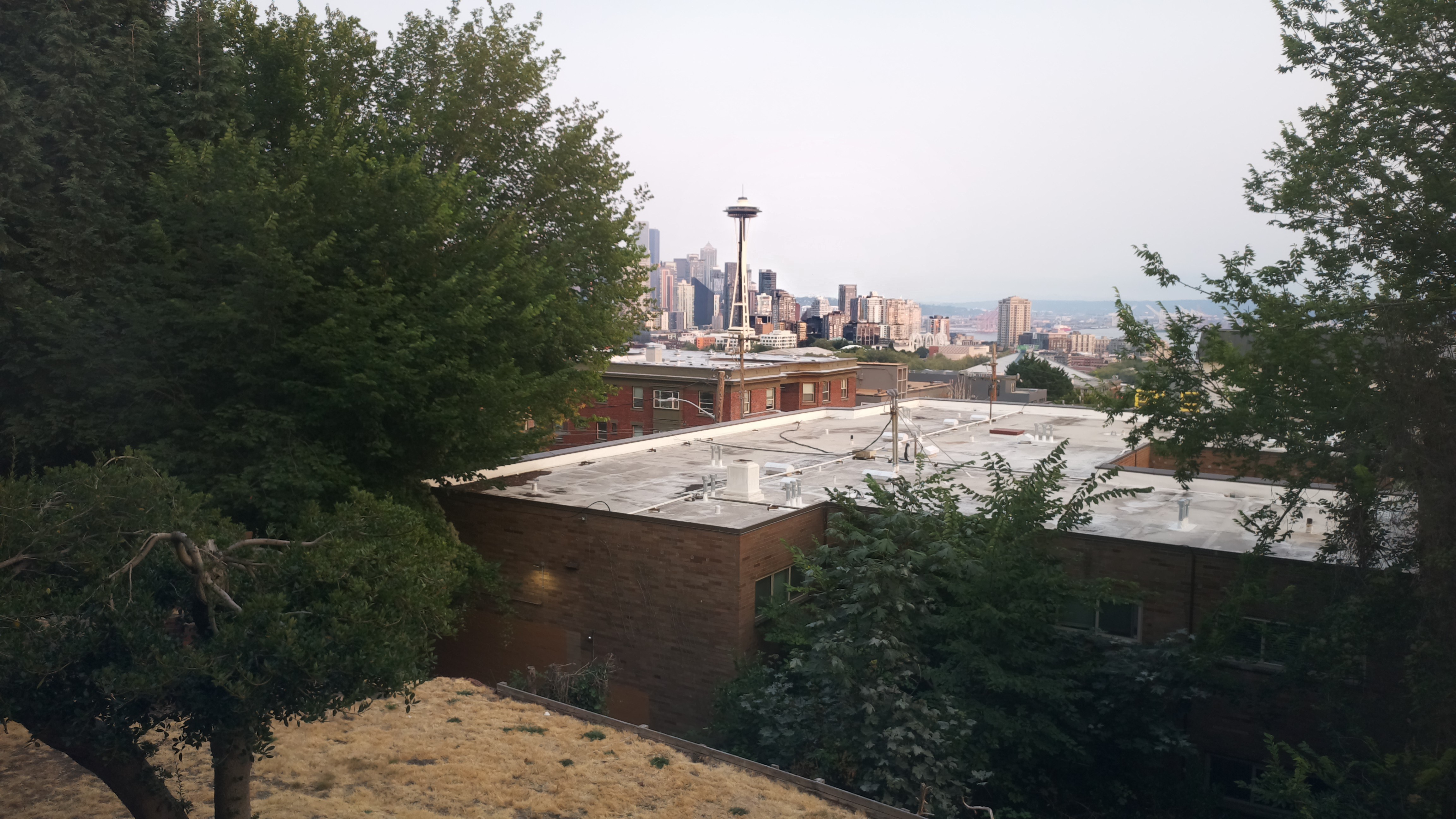 Mt. Rainier from Seattle — Wednesday, August 12