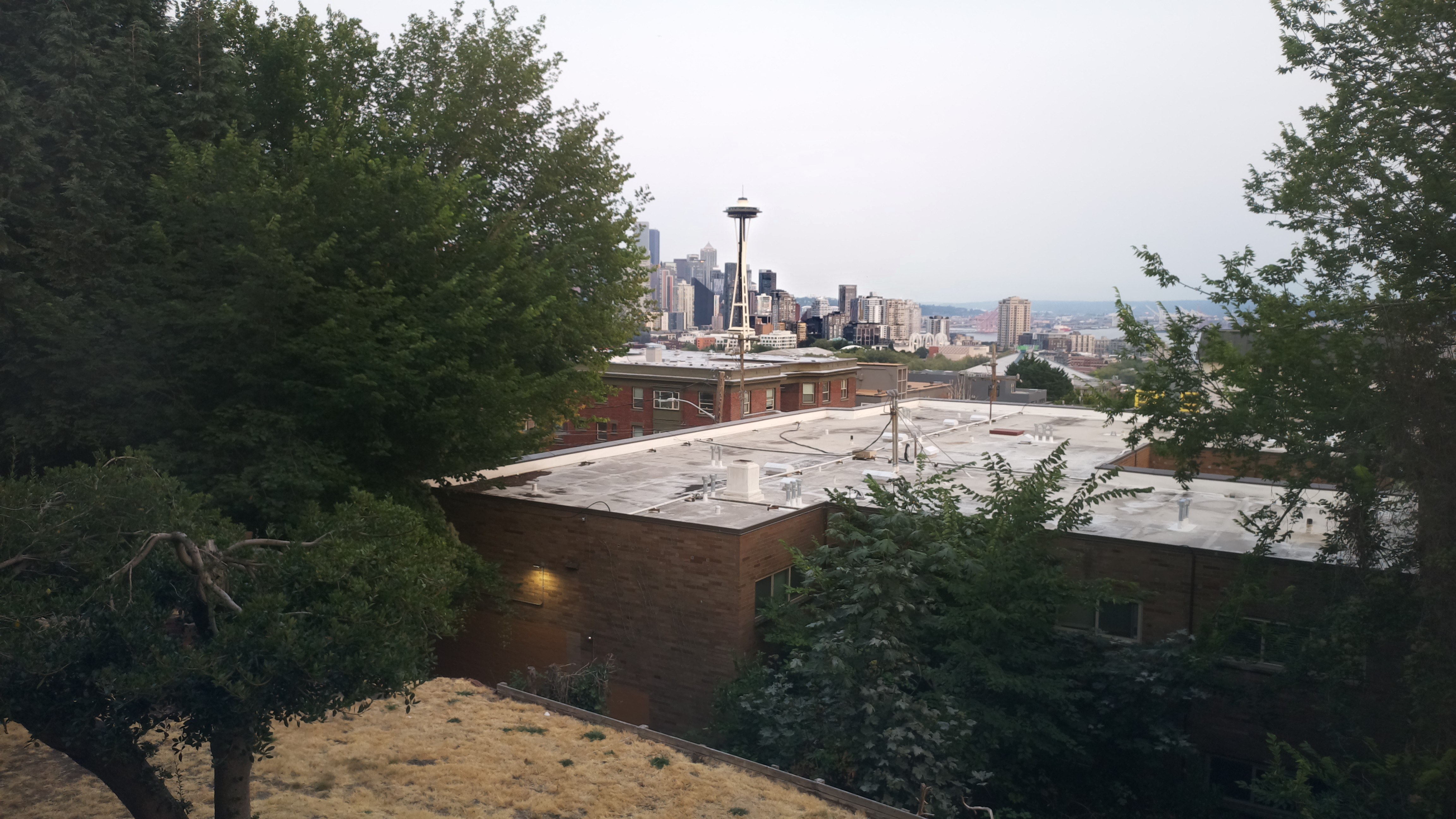 Mt. Rainier from Seattle — Wednesday, August 12