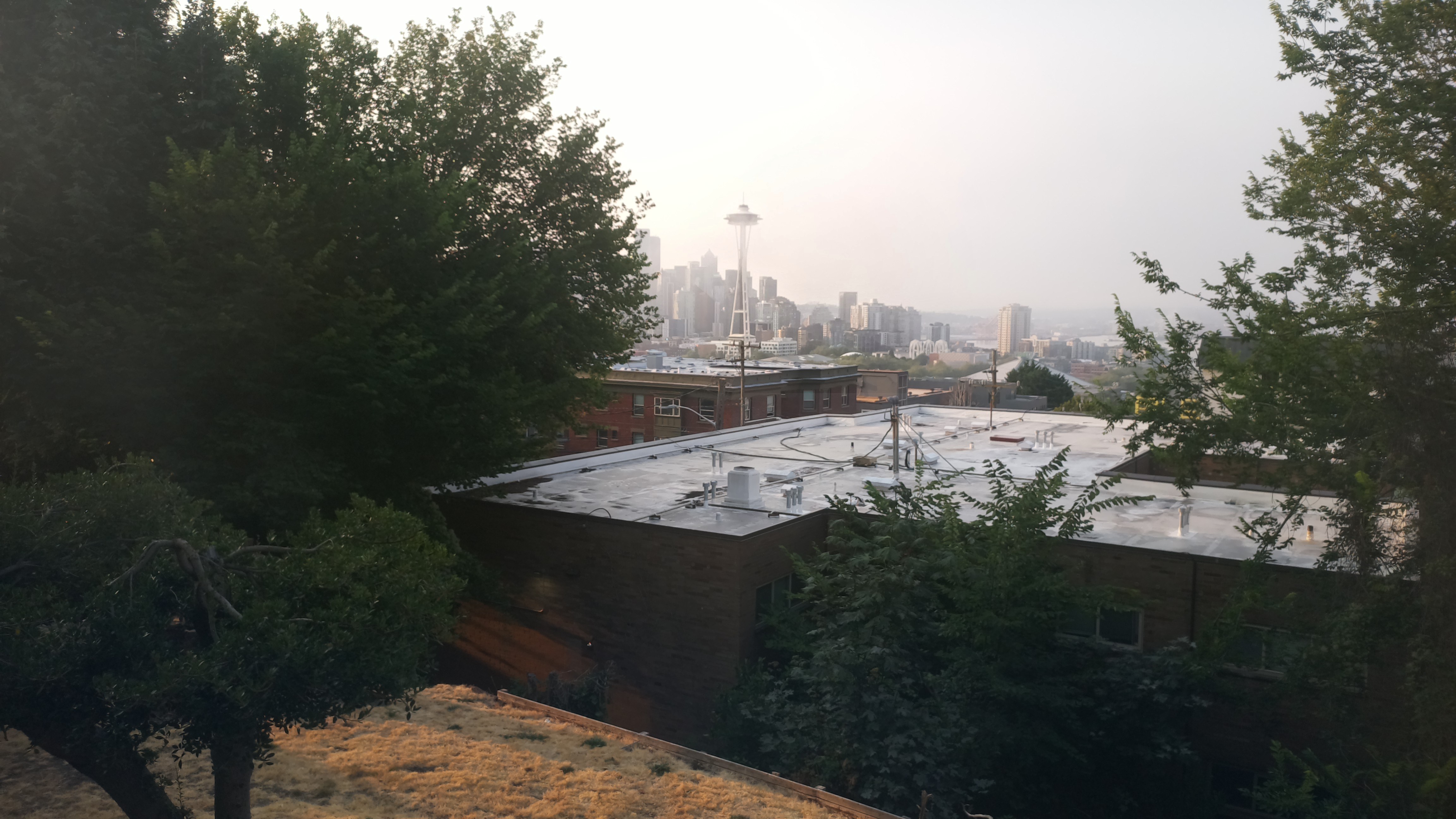 Mt. Rainier from Seattle — Thursday, August 13