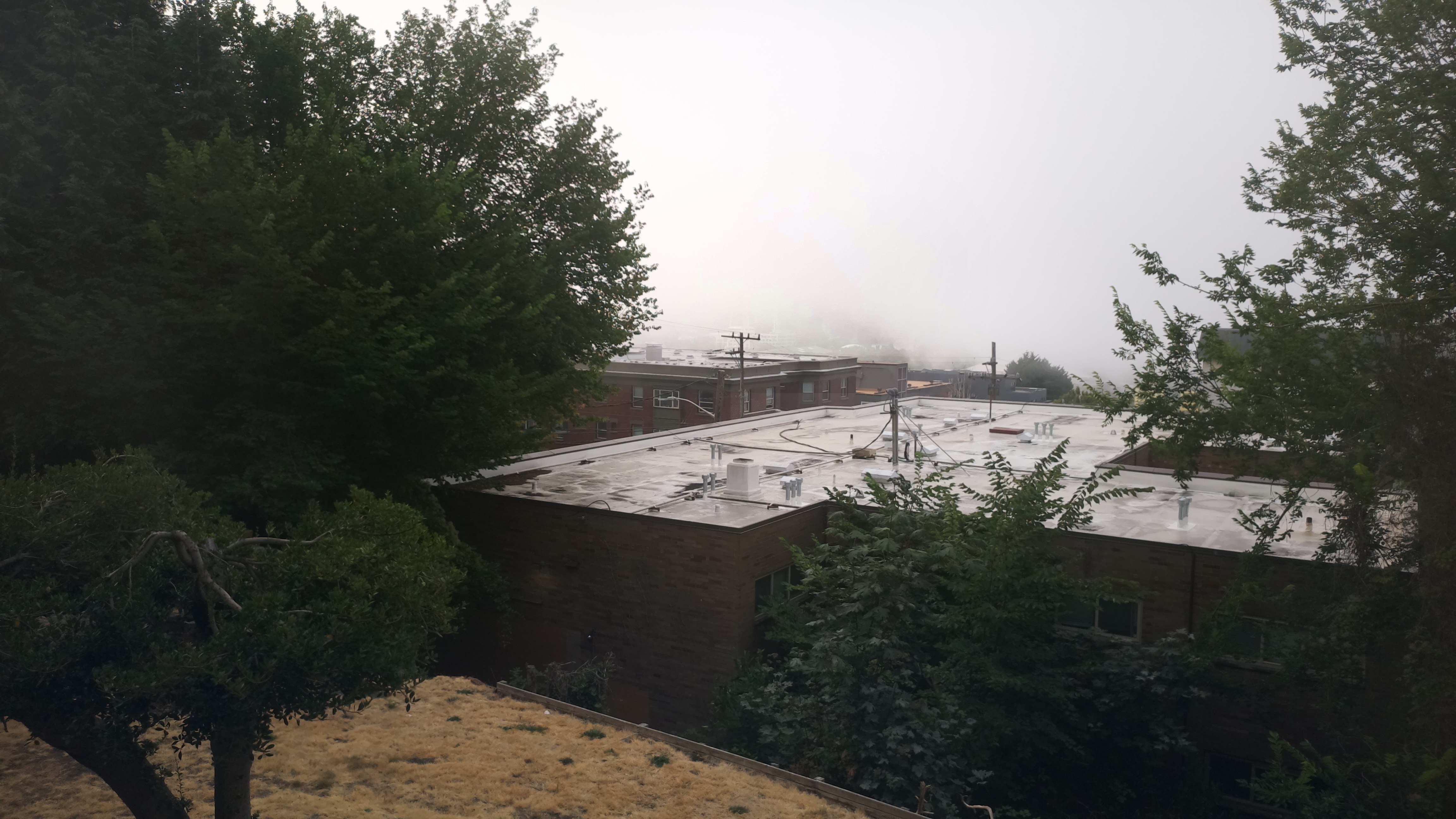 Mt. Rainier from Seattle — Thursday, August 13