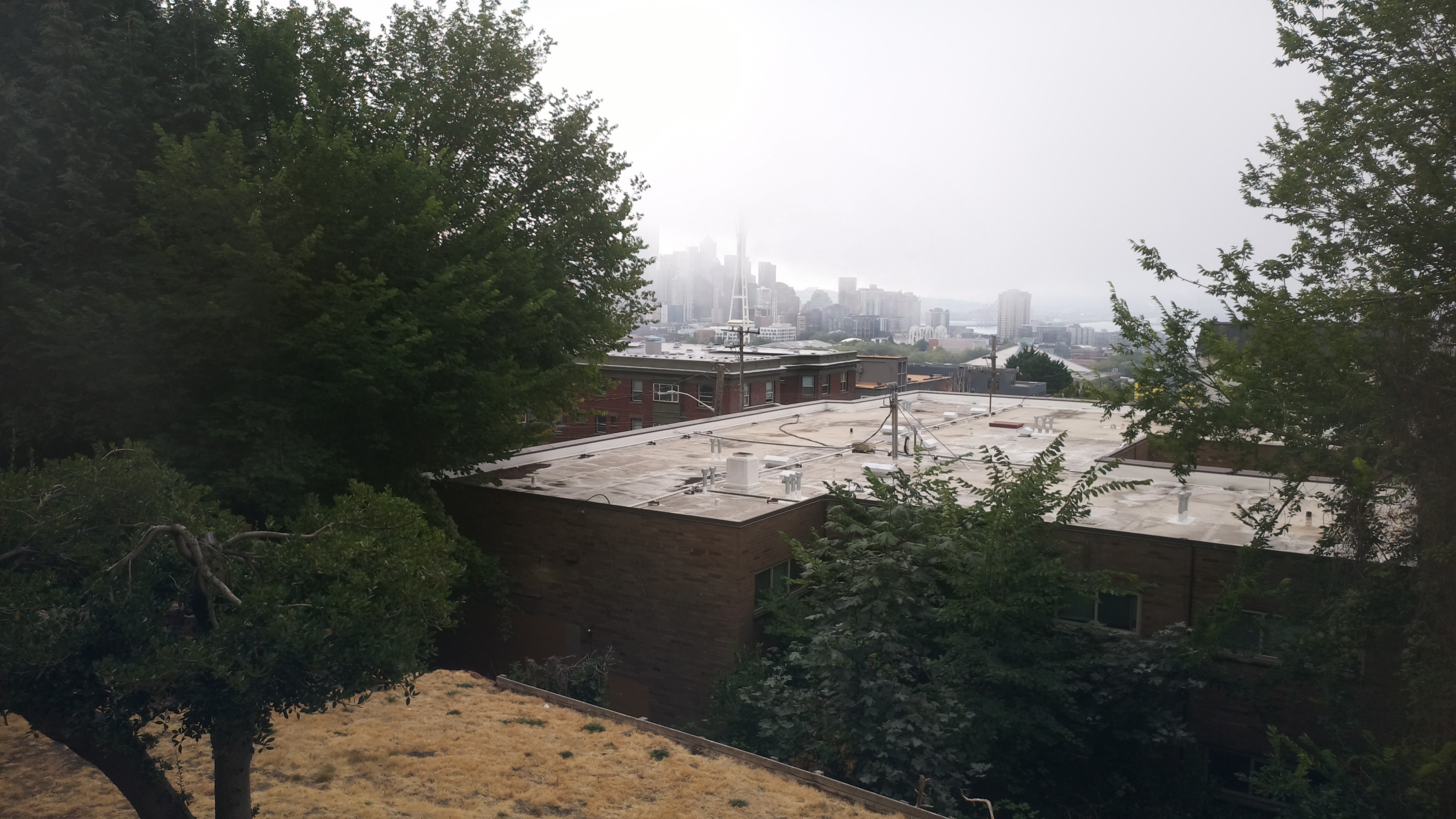 Mt. Rainier from Seattle — Thursday, August 13