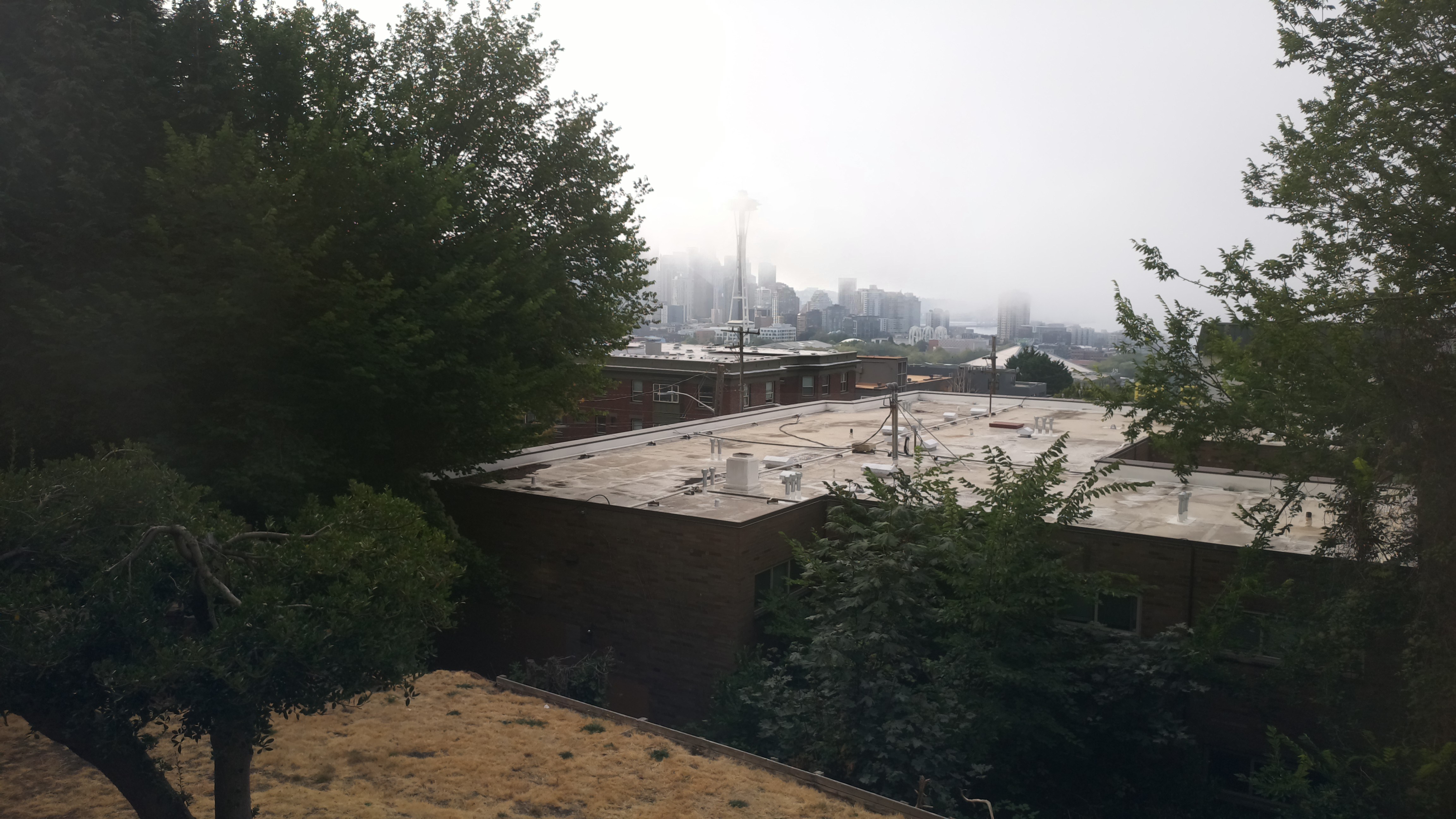 Mt. Rainier from Seattle — Thursday, August 13