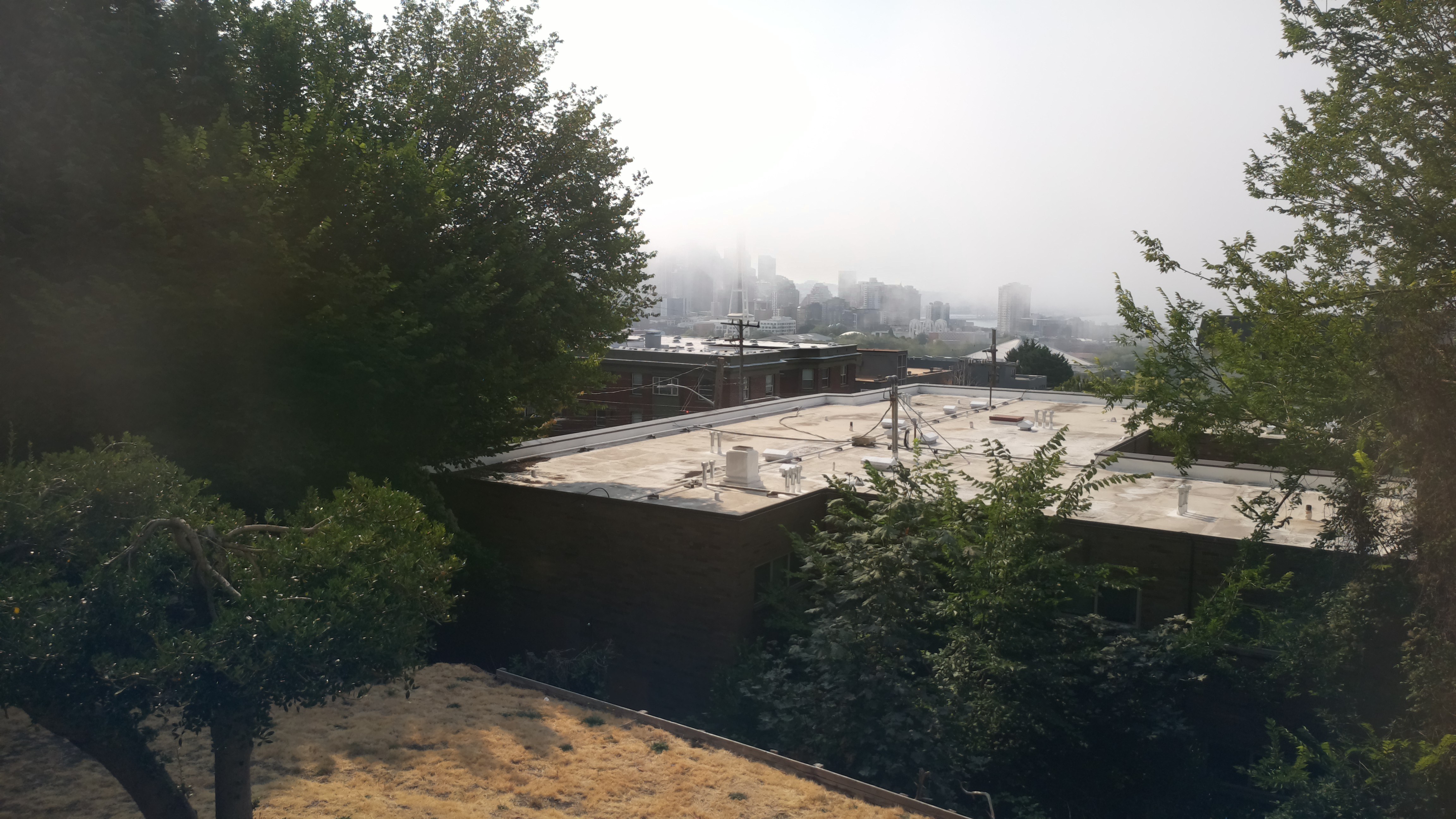 Mt. Rainier from Seattle — Thursday, August 13