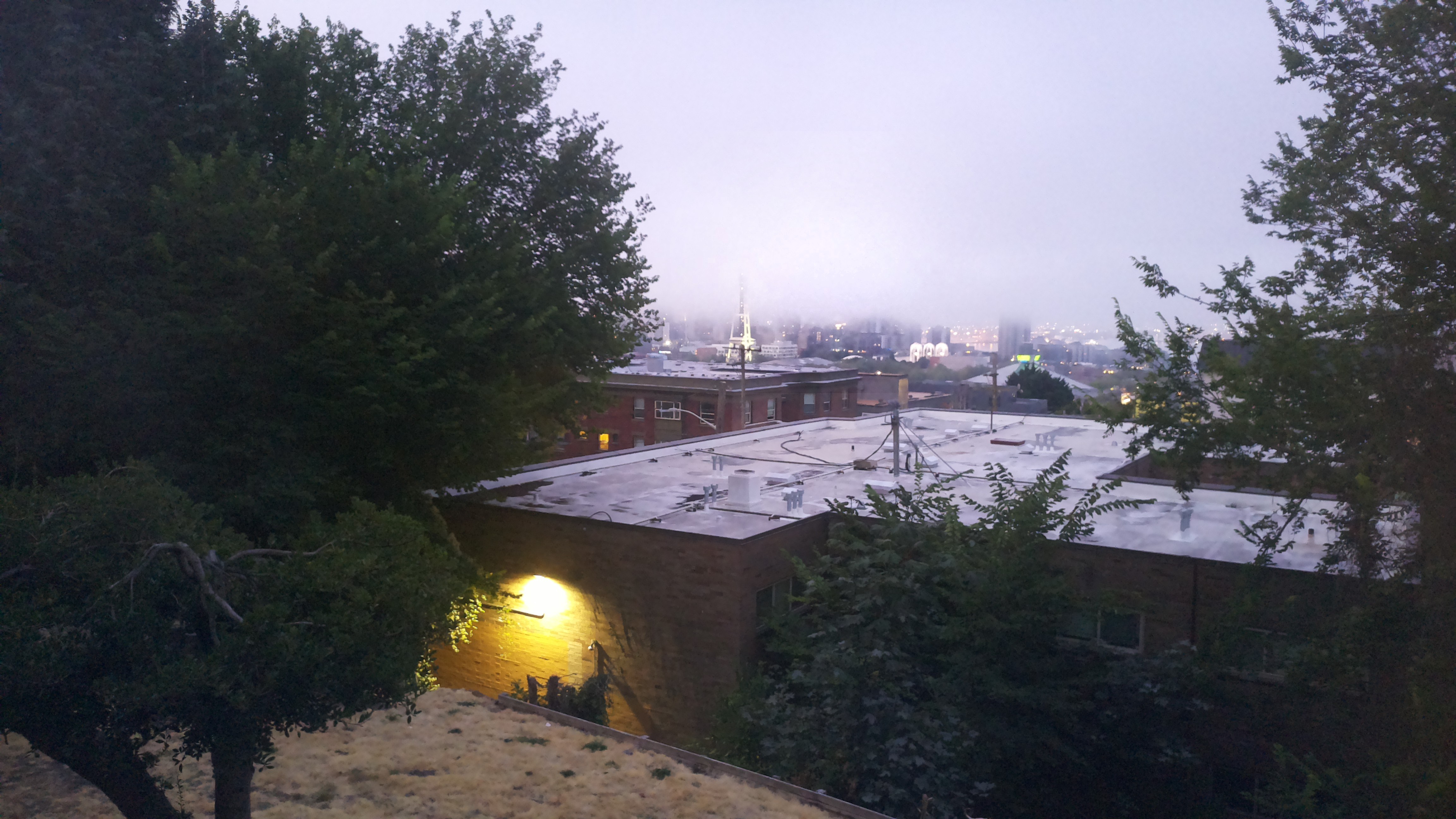 Mt. Rainier from Seattle — Friday, August 14